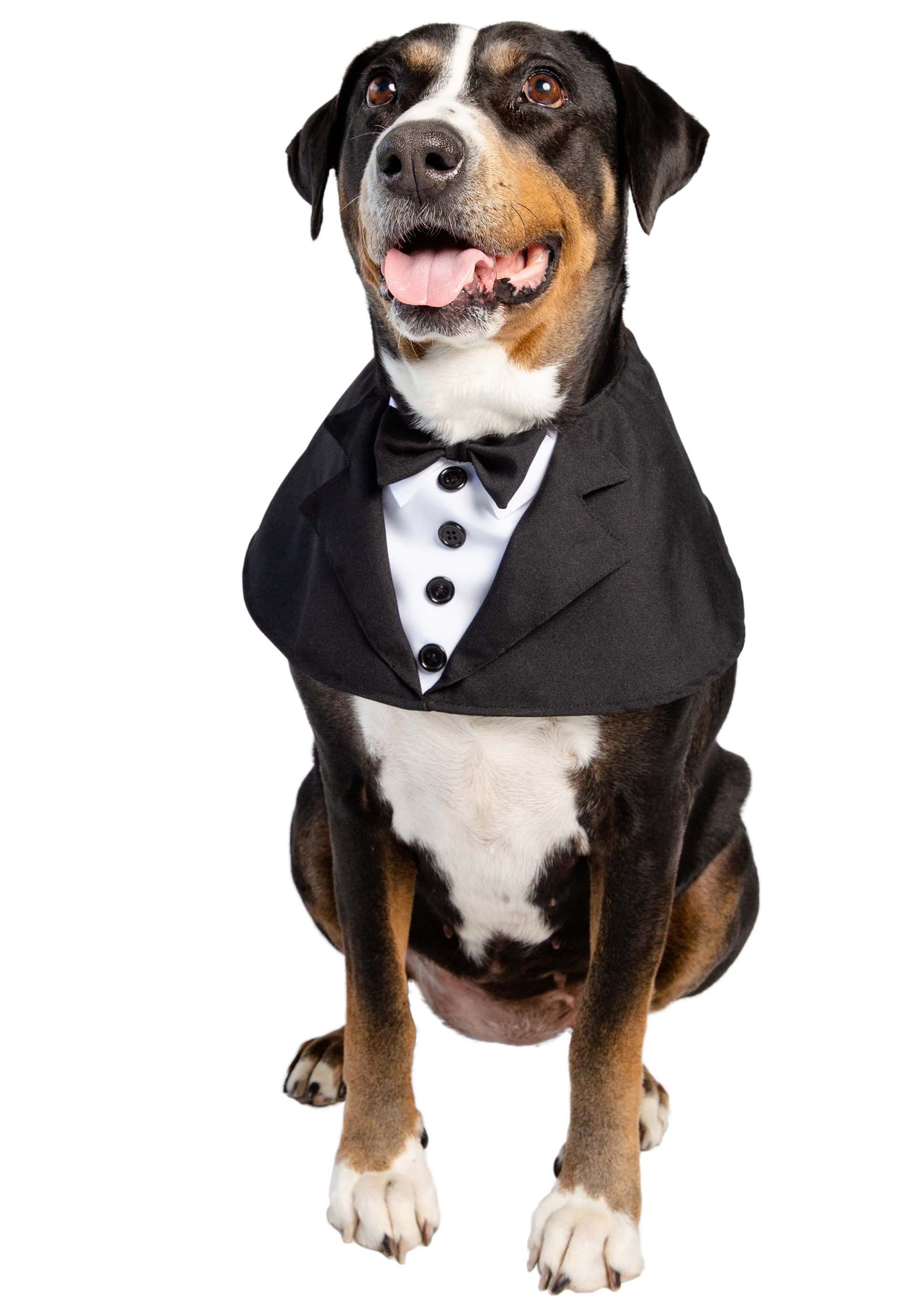 Pet Tuxedo Costume