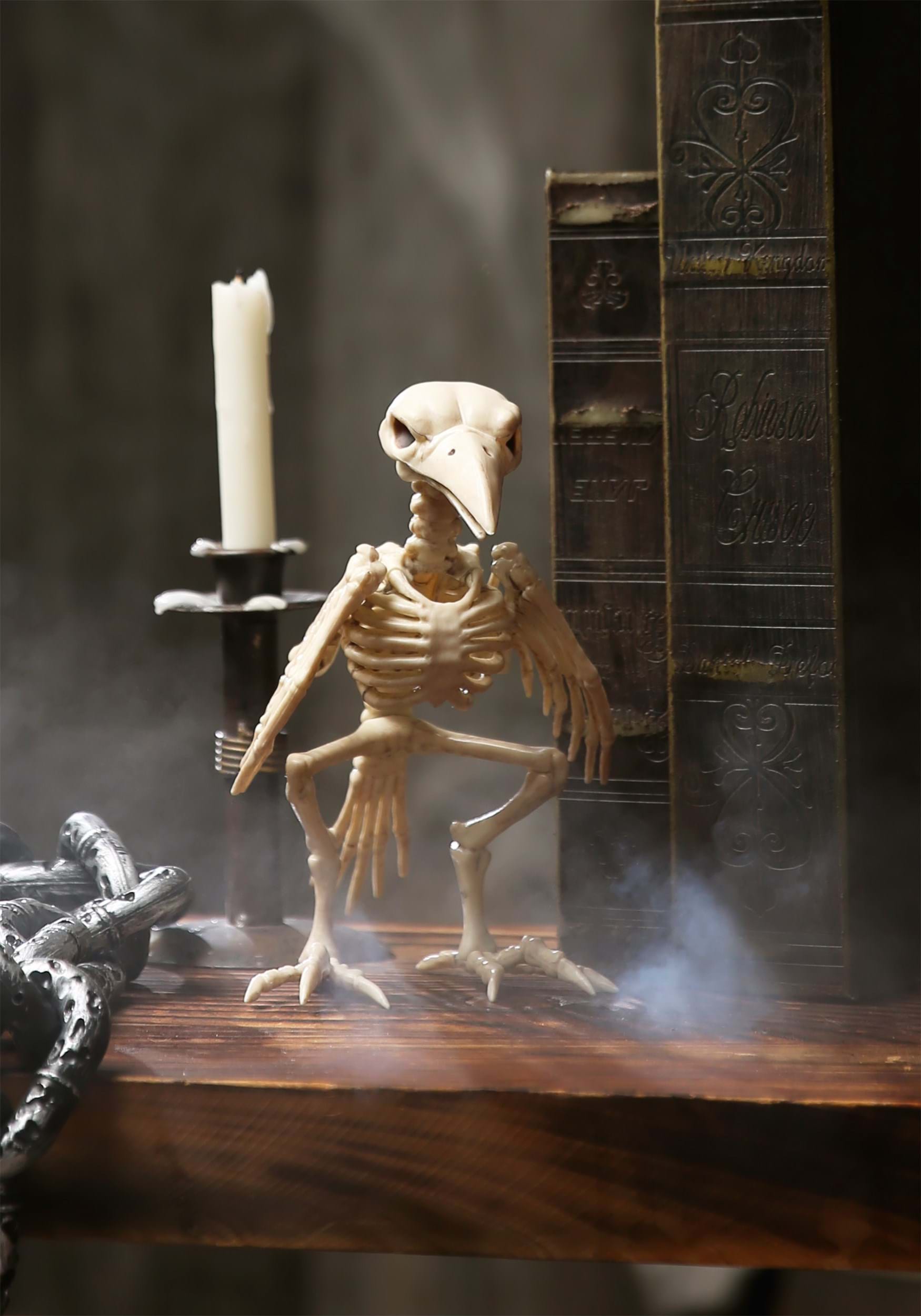 8-Inch Raven Skeleton Halloween Decoration | Animal Skeletons