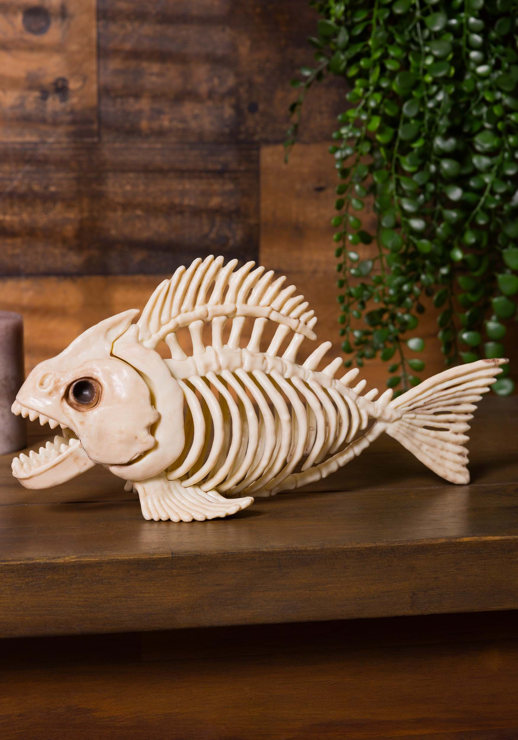 10 Skeleton Fish Halloween Prop | Animal Skeletons