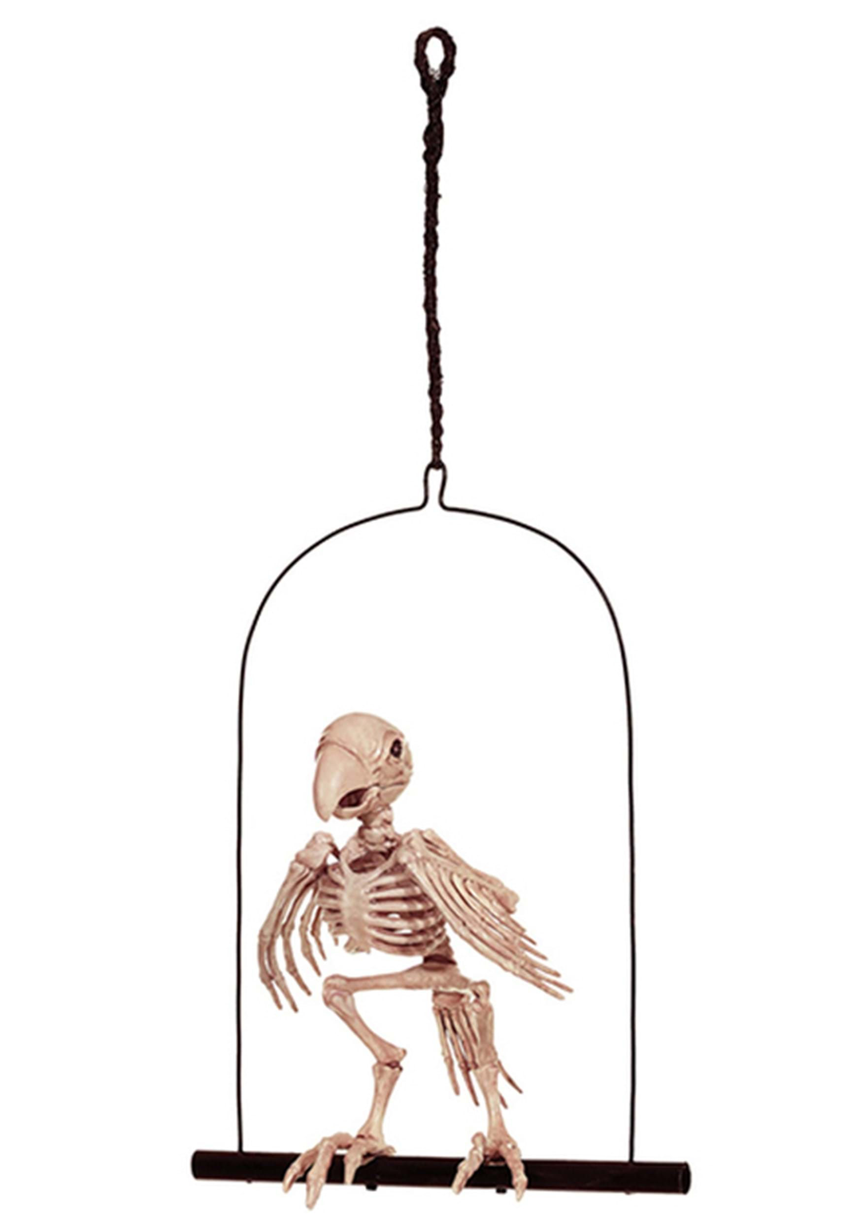 12.5-Inch Perched Skeleton Halloween Parrot Prop | Halloween Decoration