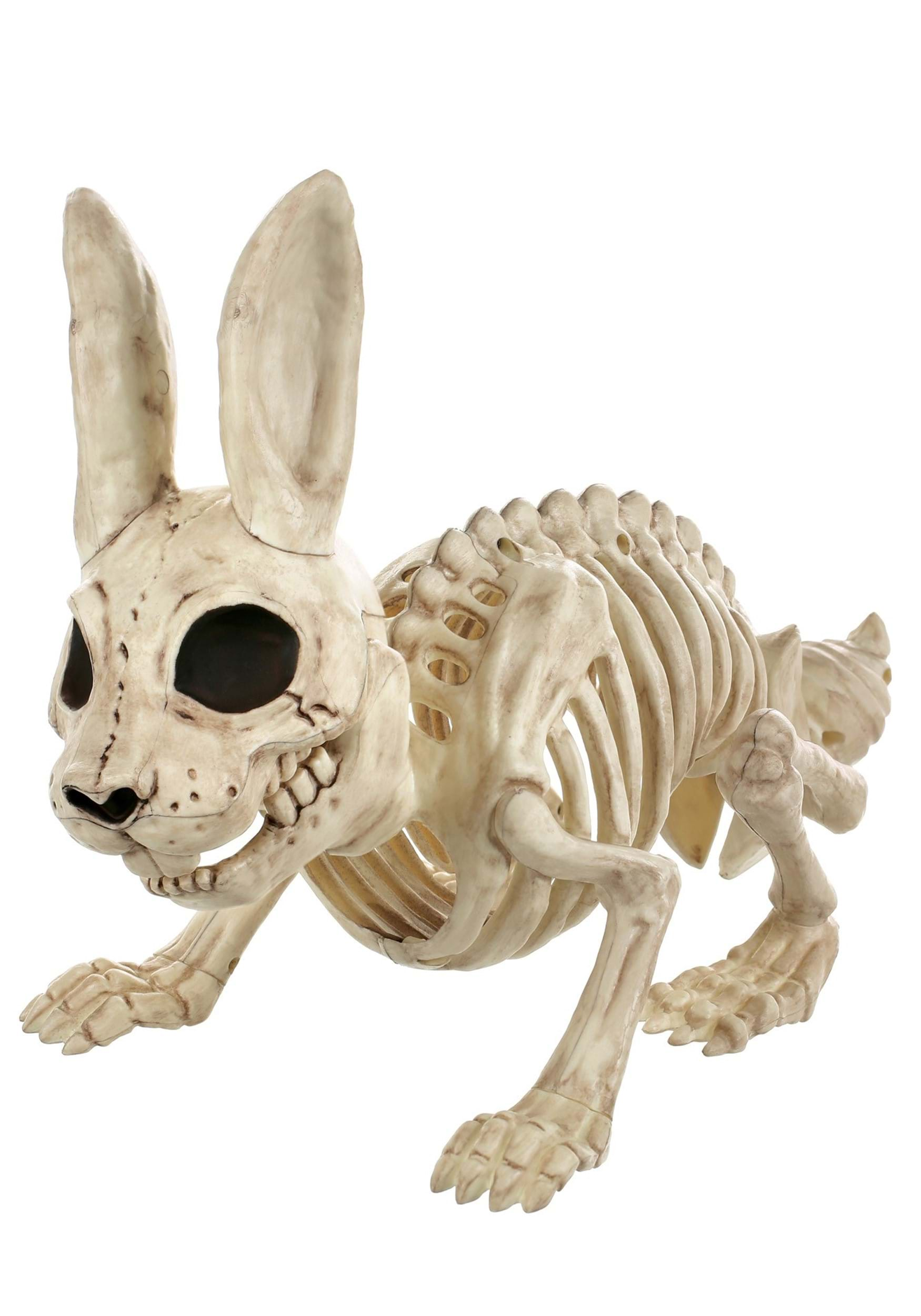 Skeleton Bunny Bonez Halloween Prop | Animal Skeletons