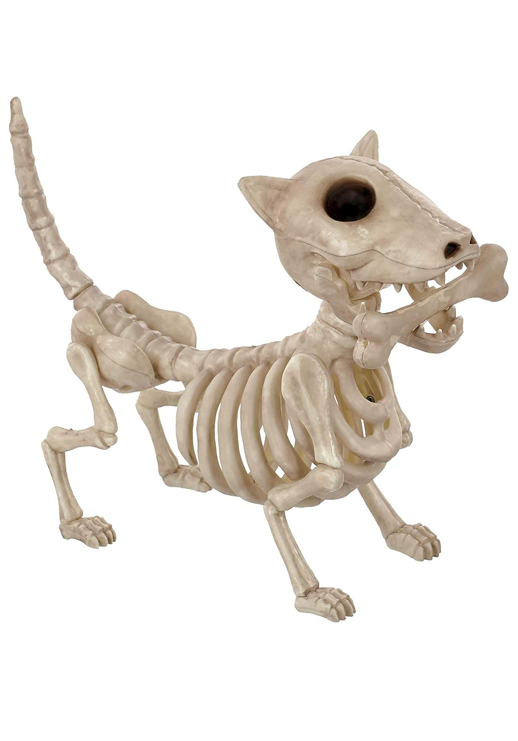 10.5 Inch Digger the Dog Prop | Skeleton Animal Decorations