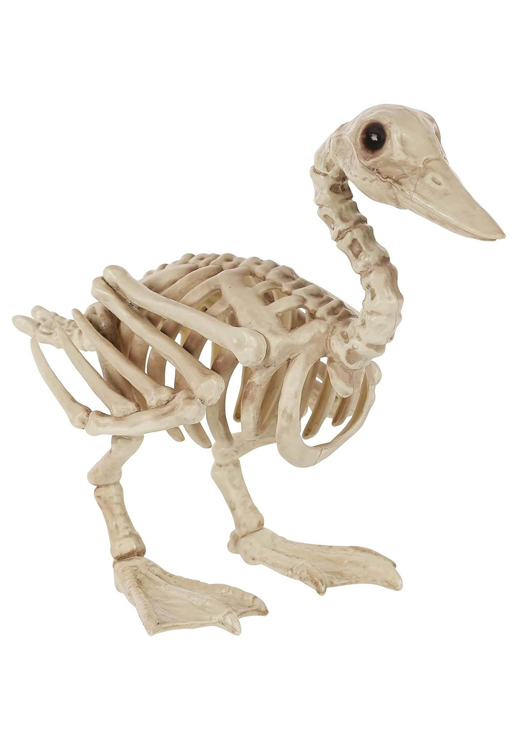 15 Duck Skeleton Halloween Prop | Animal Skeletons