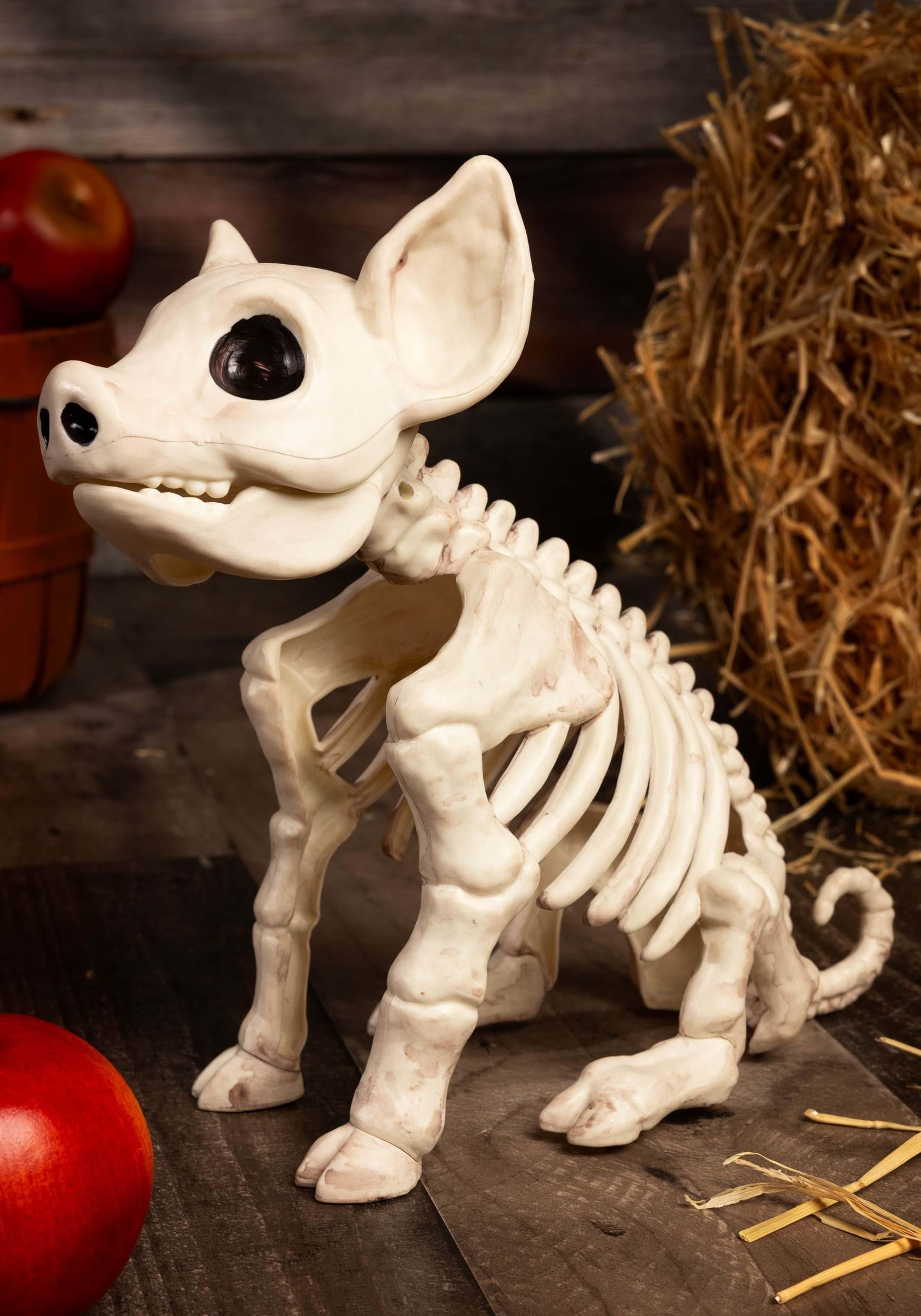 Seated Pig Skeleton Halloween Prop | Animal Skeletons