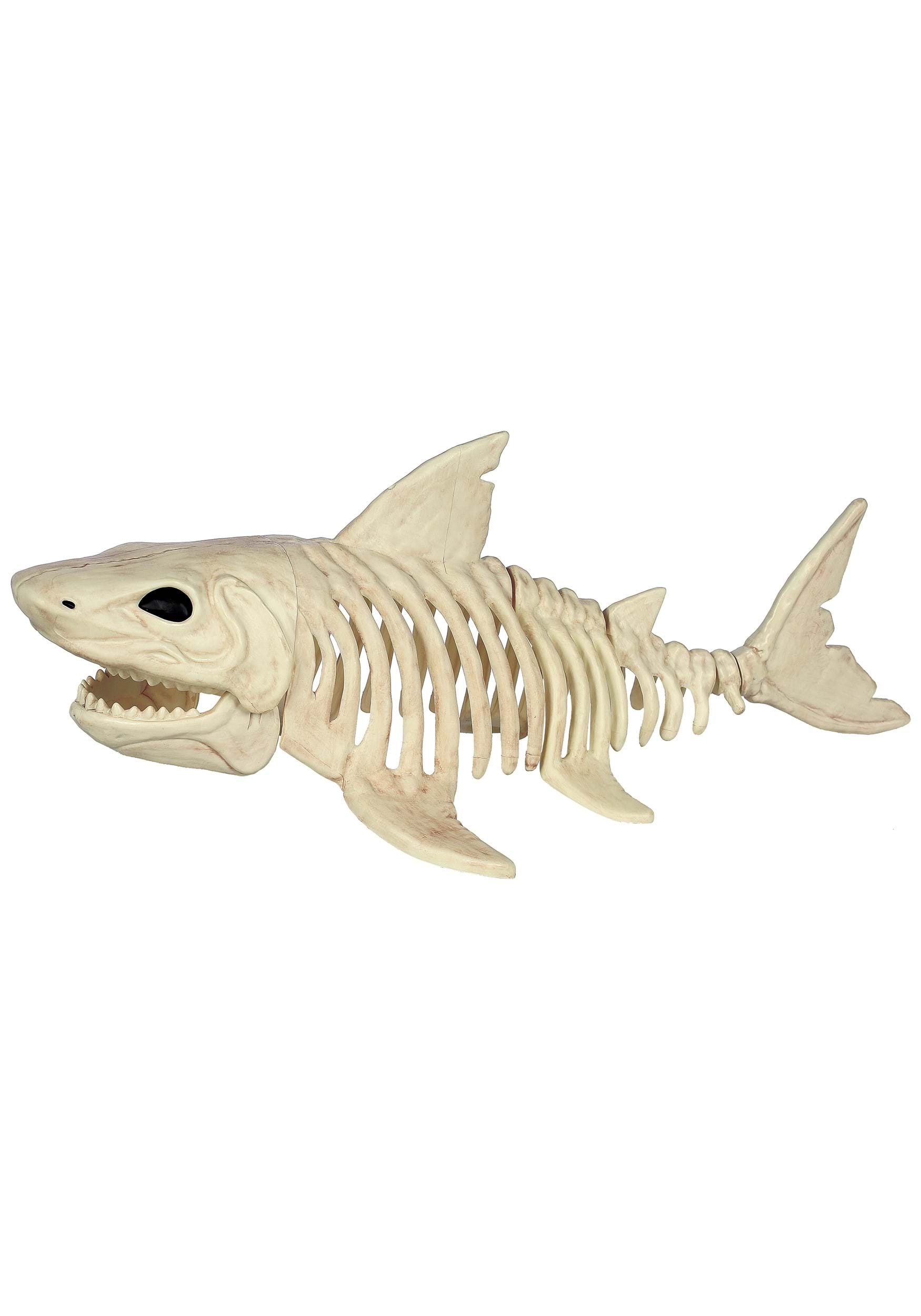 2FT Shark Skeleton Halloween Prop | Animal Skeletons