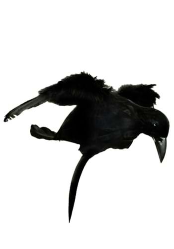 Crow Headband Costume for Halloween
