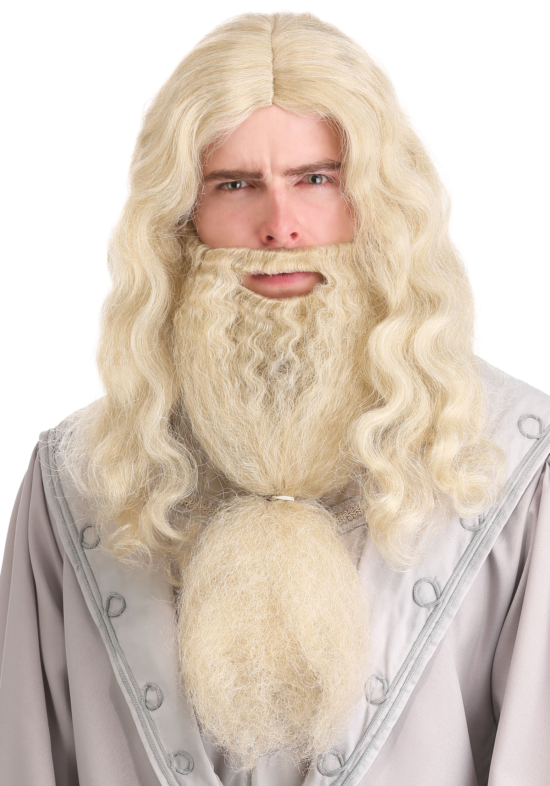Headmaster Wizard Adult Costume Wig and Beard | Movie Accessories