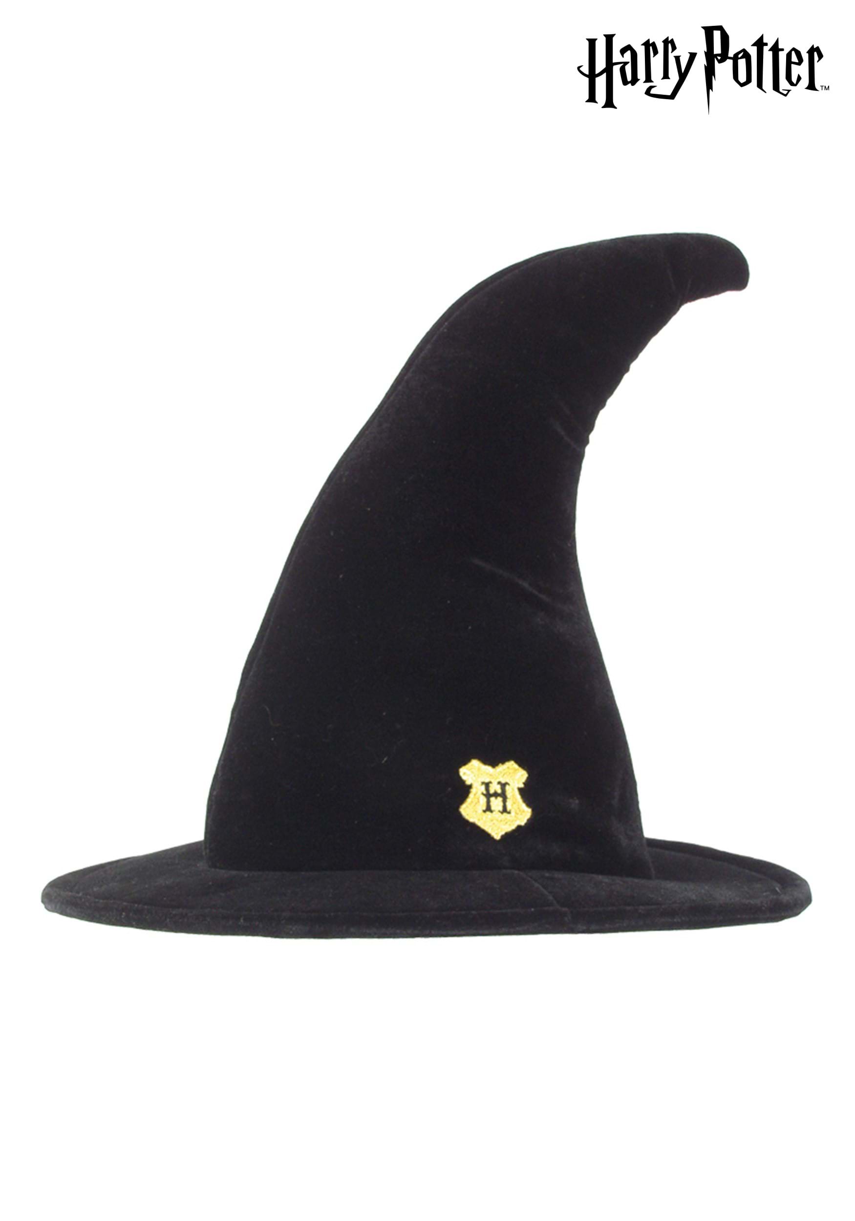 Hogwarts Student Costume Kid's Hat | Harry Potter Accessories