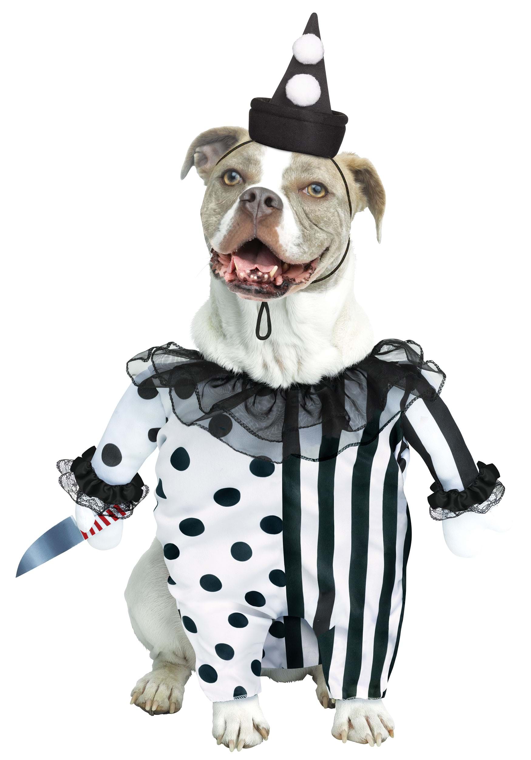 Pet Evil Clown Dog Costume | Halloween Pet Costumes