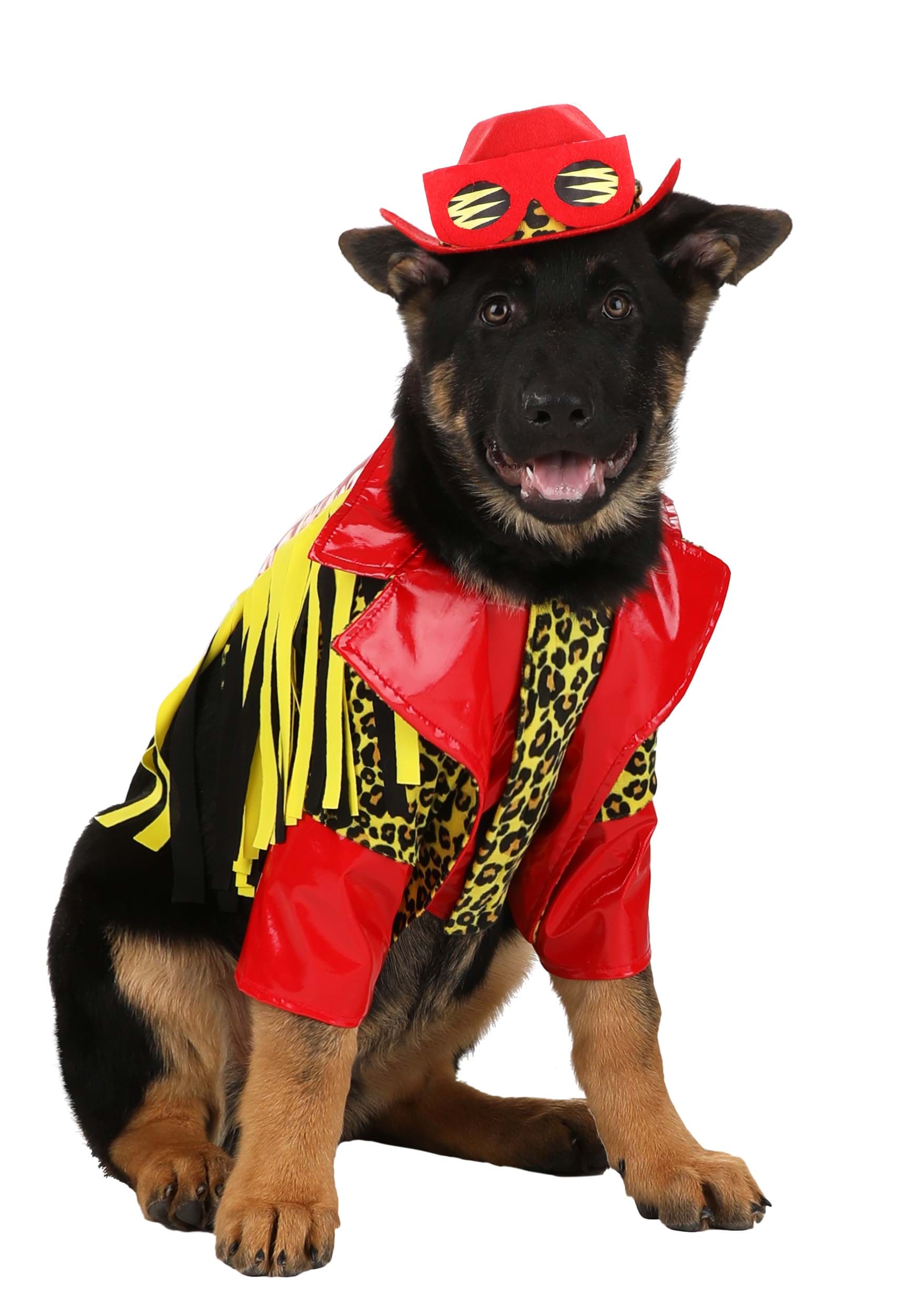 Pet Macho Man Dog Costume