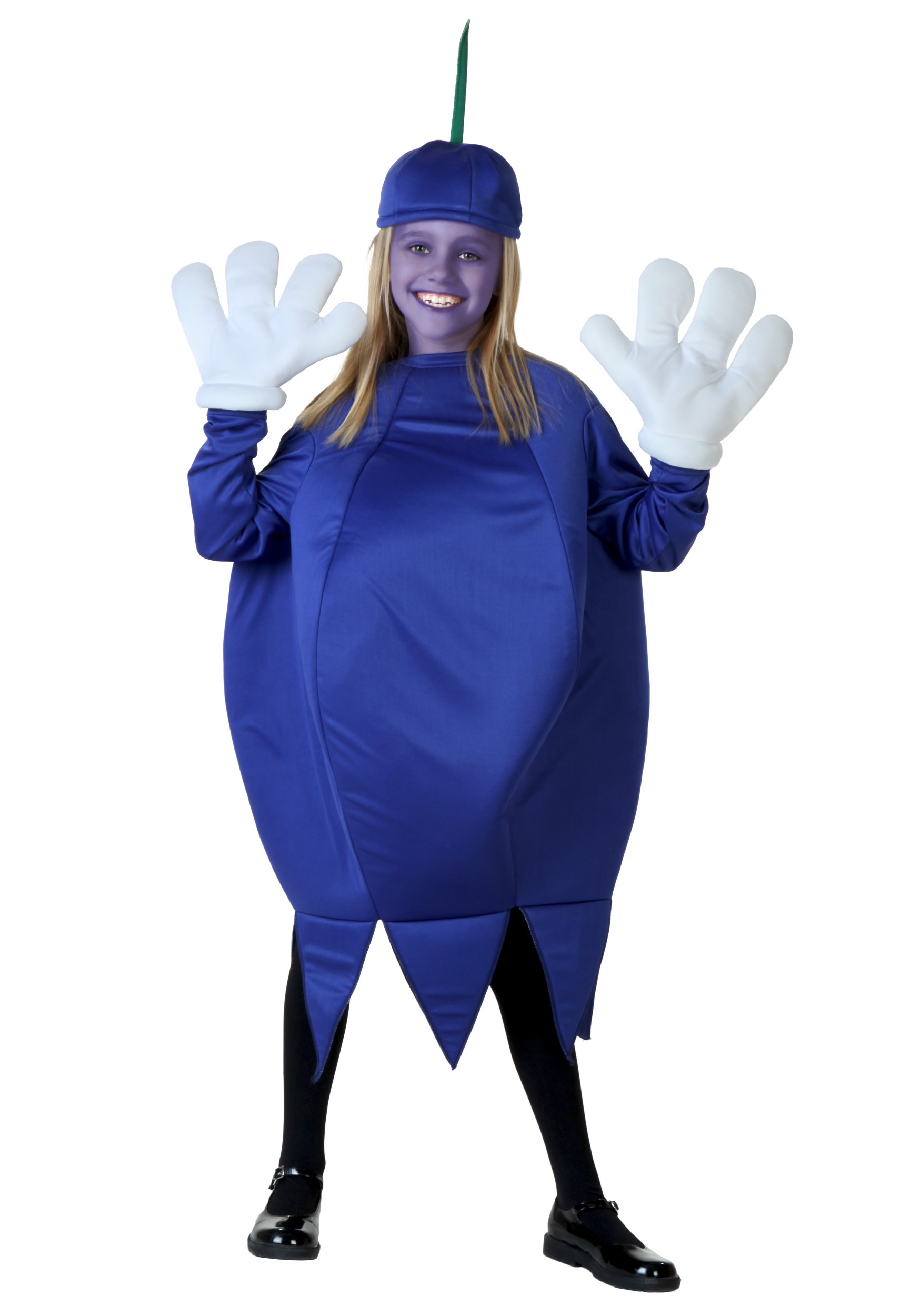Child Blueberry Costume | Kid's Food Halloween Costumes