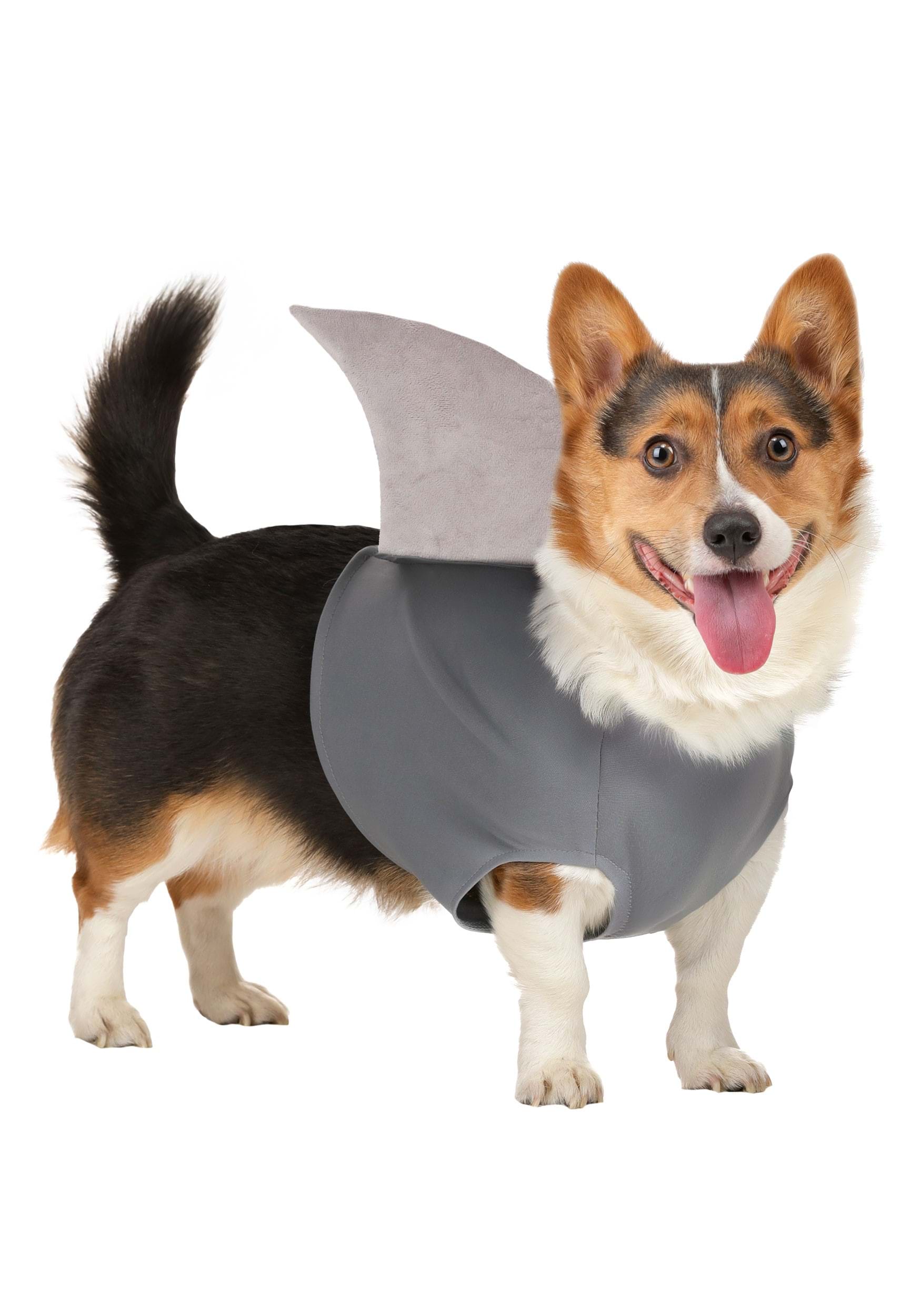 Shark Costume for Pets | Halloween Pet Costumes