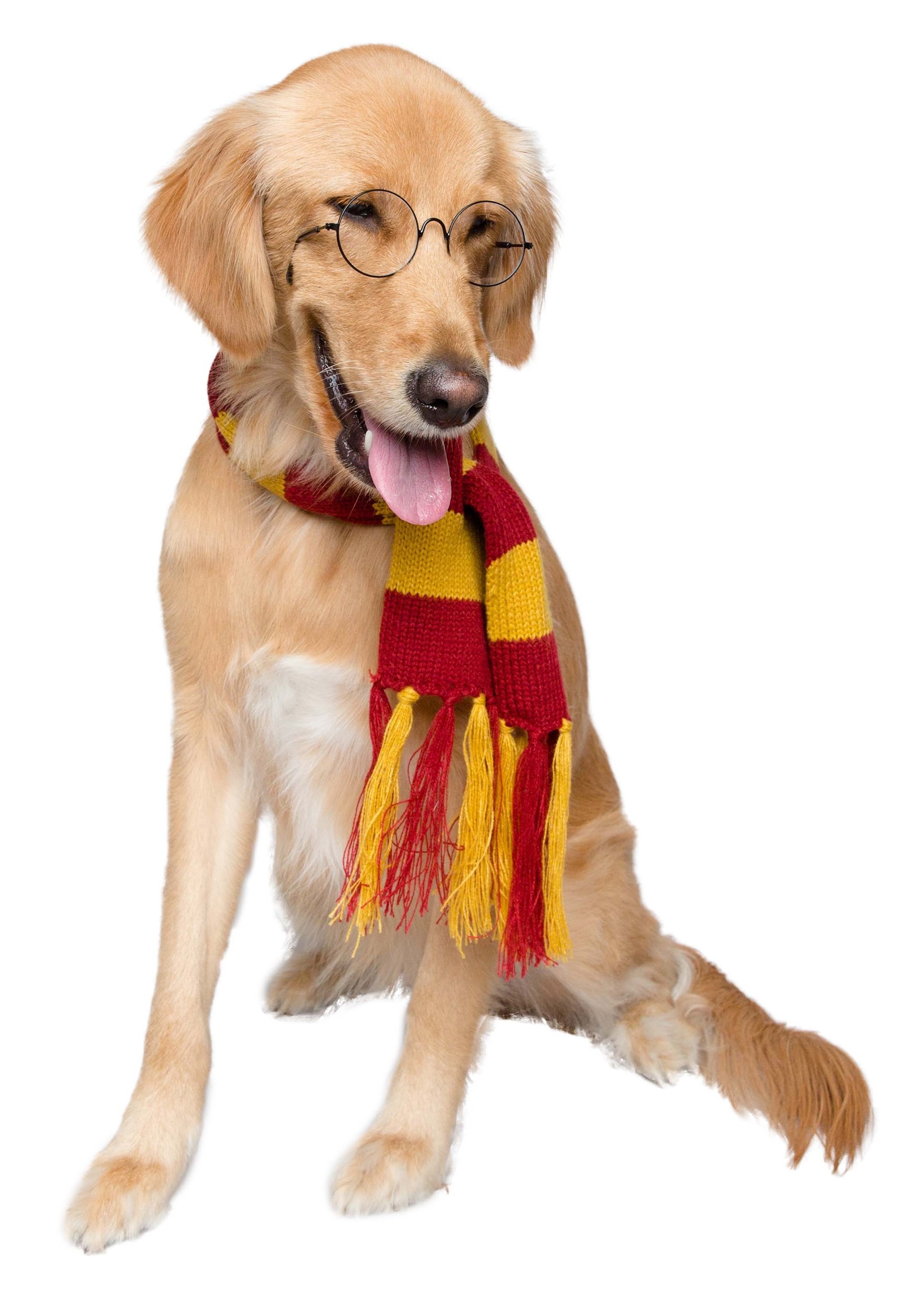Hipster Wizard Pet Scarf Costume | Pet Costumes