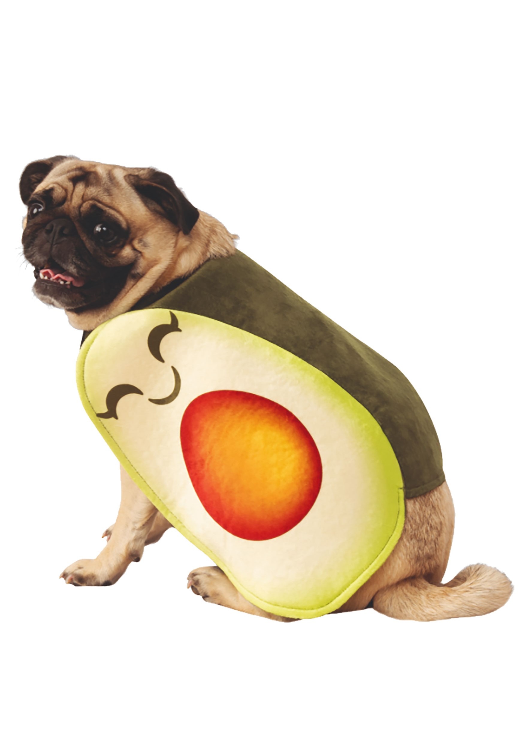Adorable Pet Avocado Costume | Food Costumes for Dogs