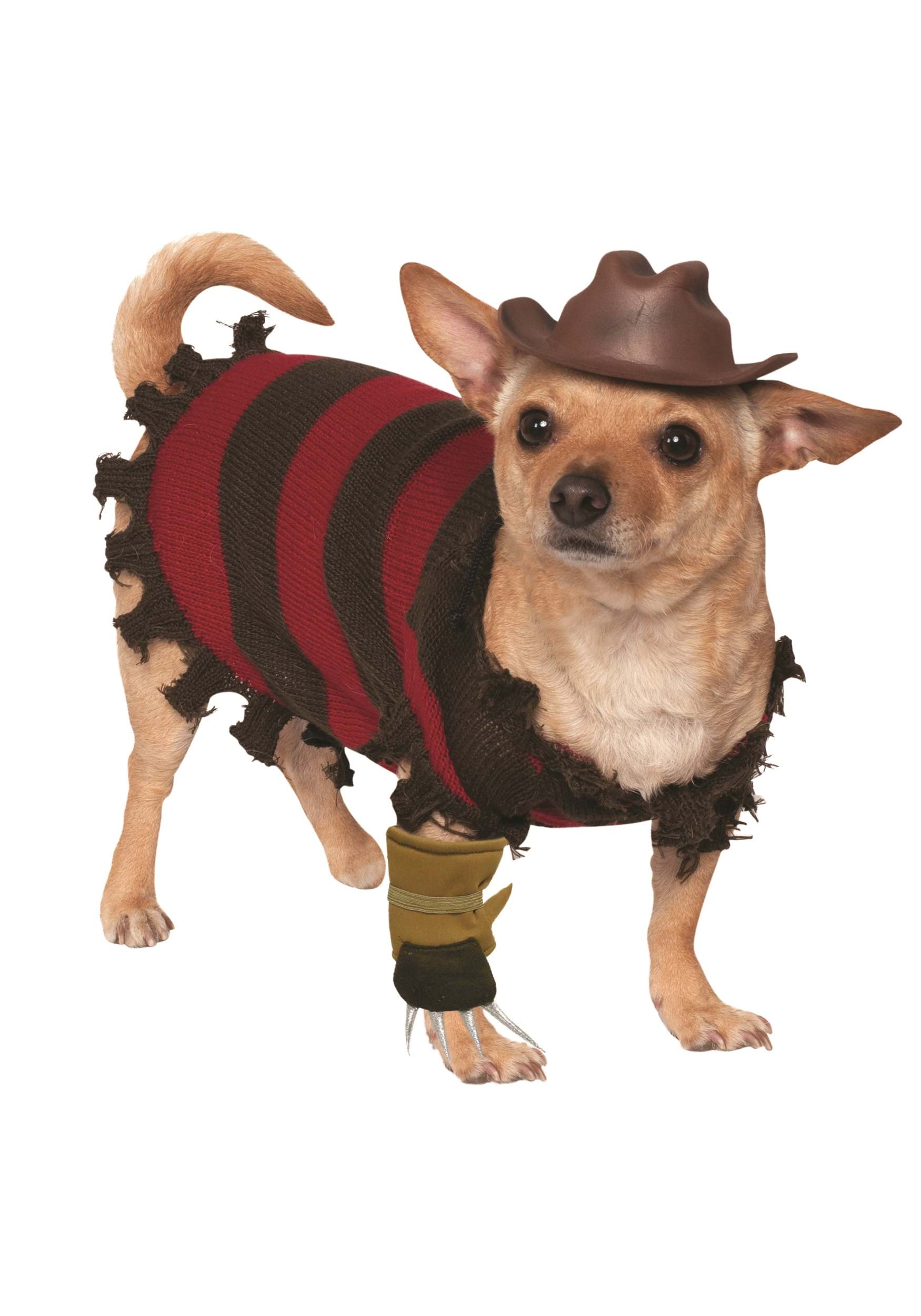 Freddy Krueger Dog Costume