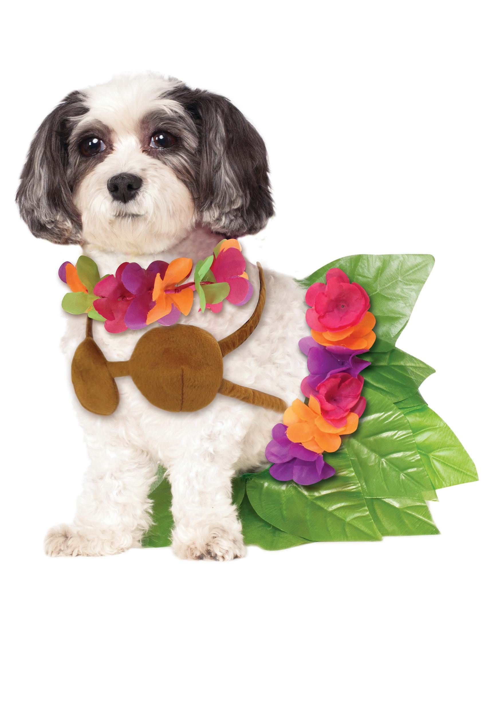 Hula Girl Pet Costume | Pet Costumes