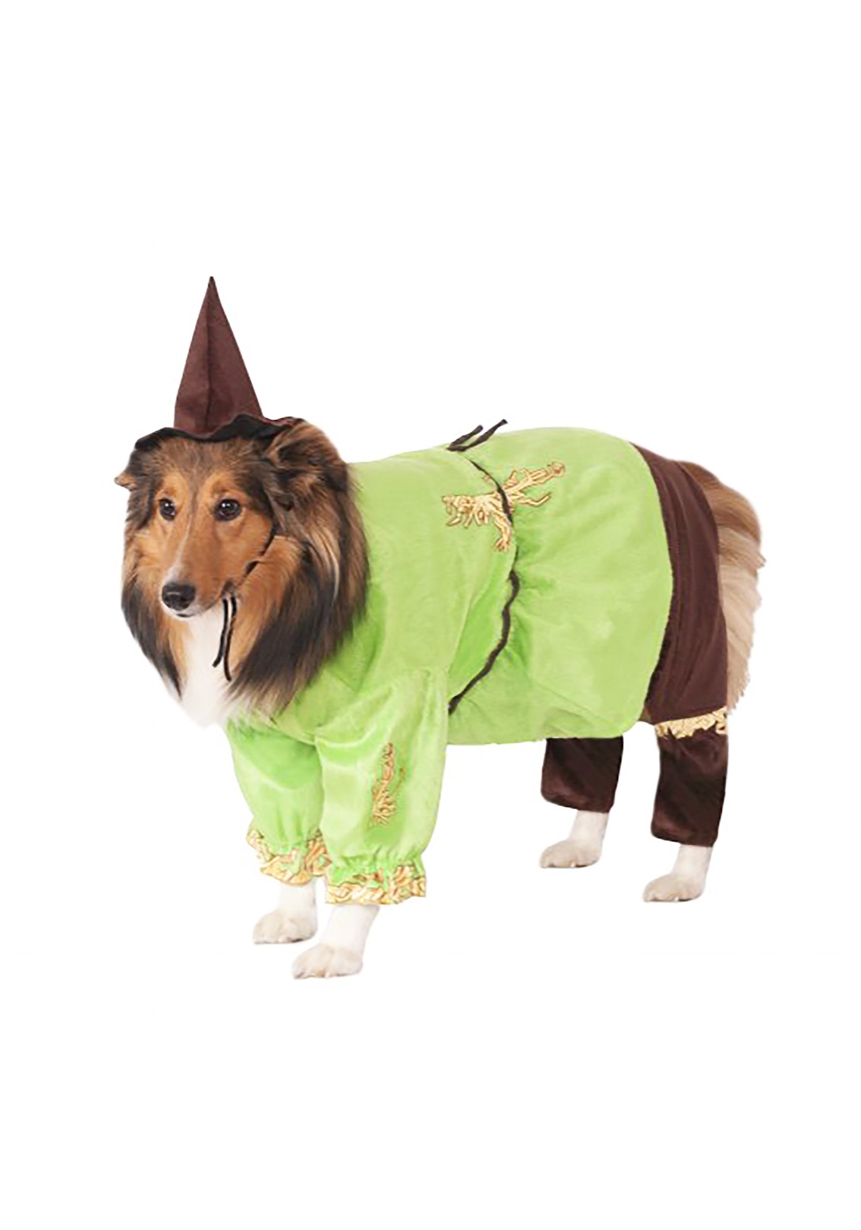Pet Scarecrow Costume