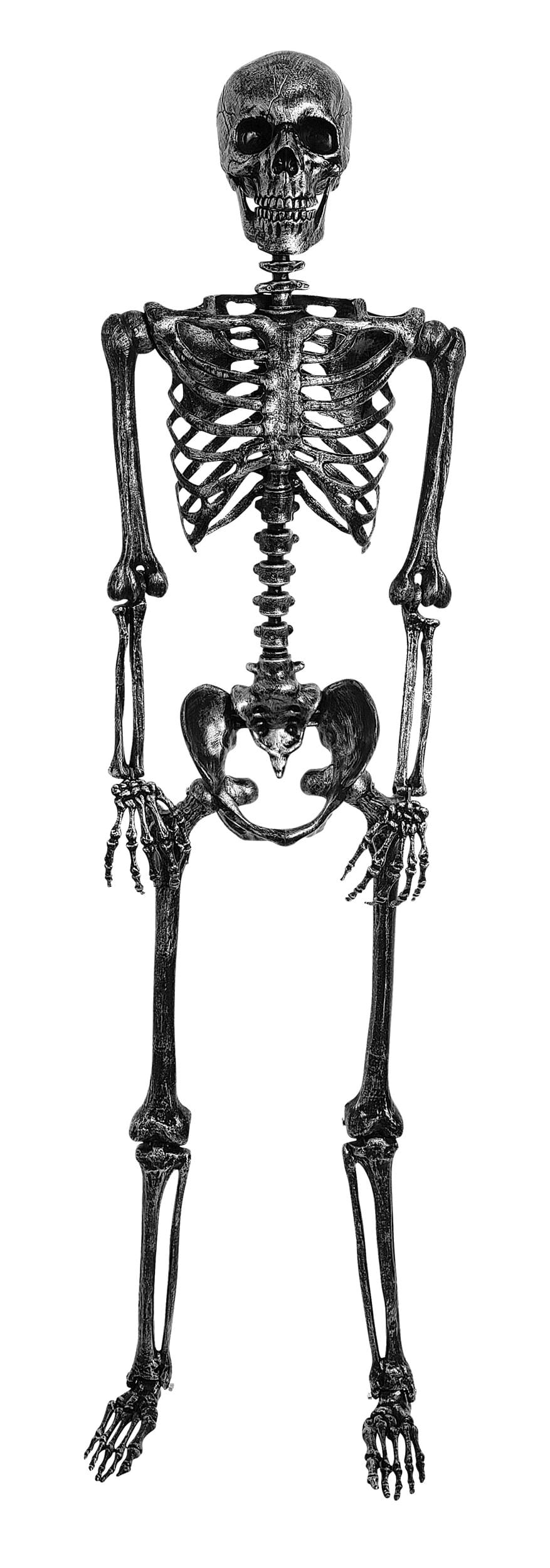 Life Size Dark Grey / Silver Skeleton Halloween Prop | Halloween Prop