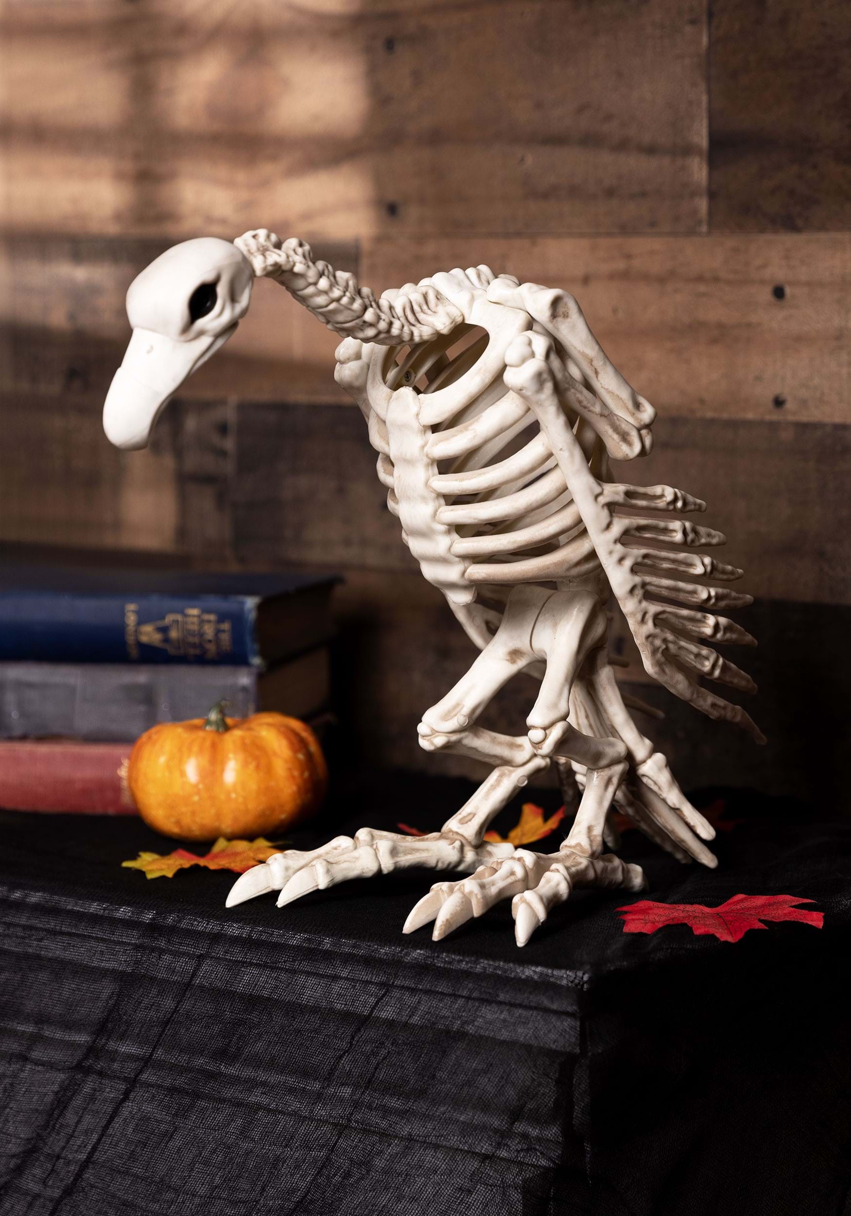 14 Inch Skeleton Vulture | Animal Skeleton Decorations