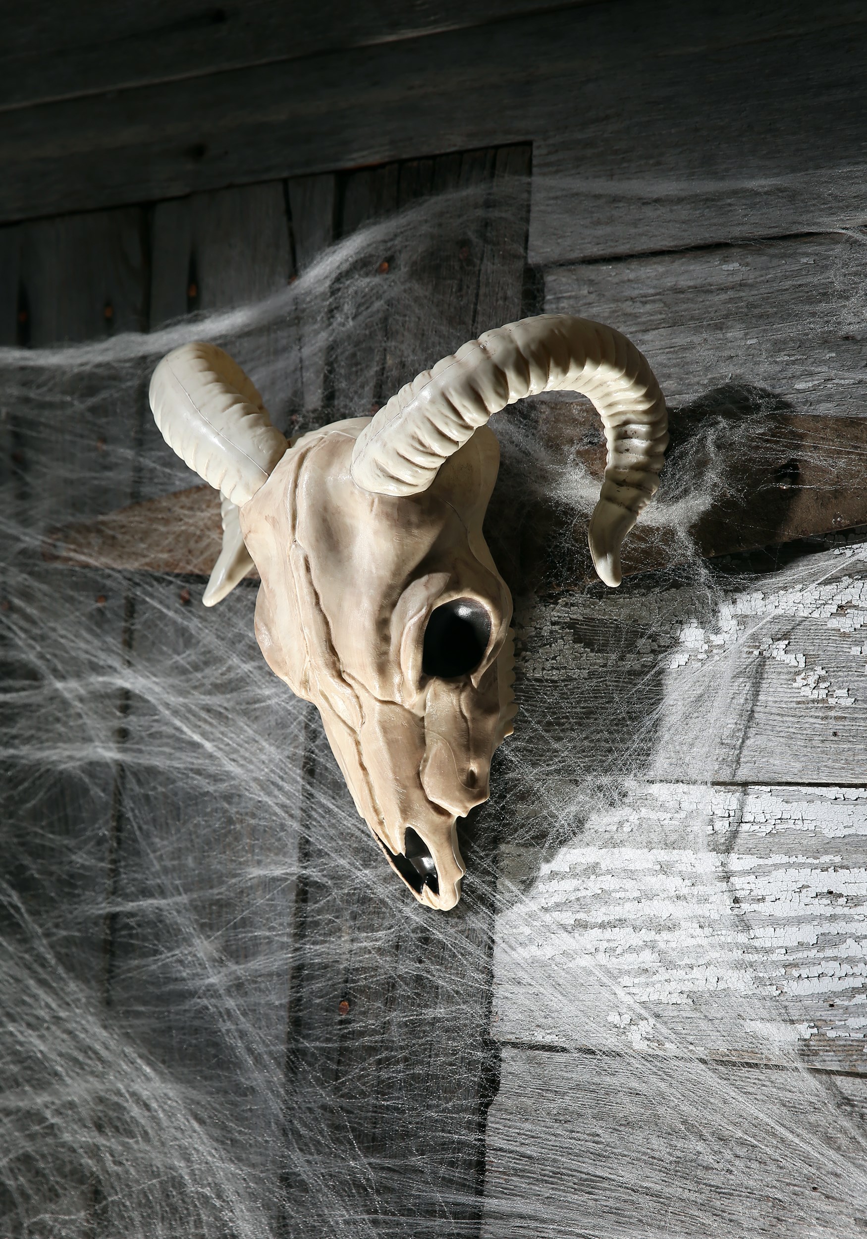 Plastic Ram Skull Prop Halloween Decoration | Skeleton Animal Decorations