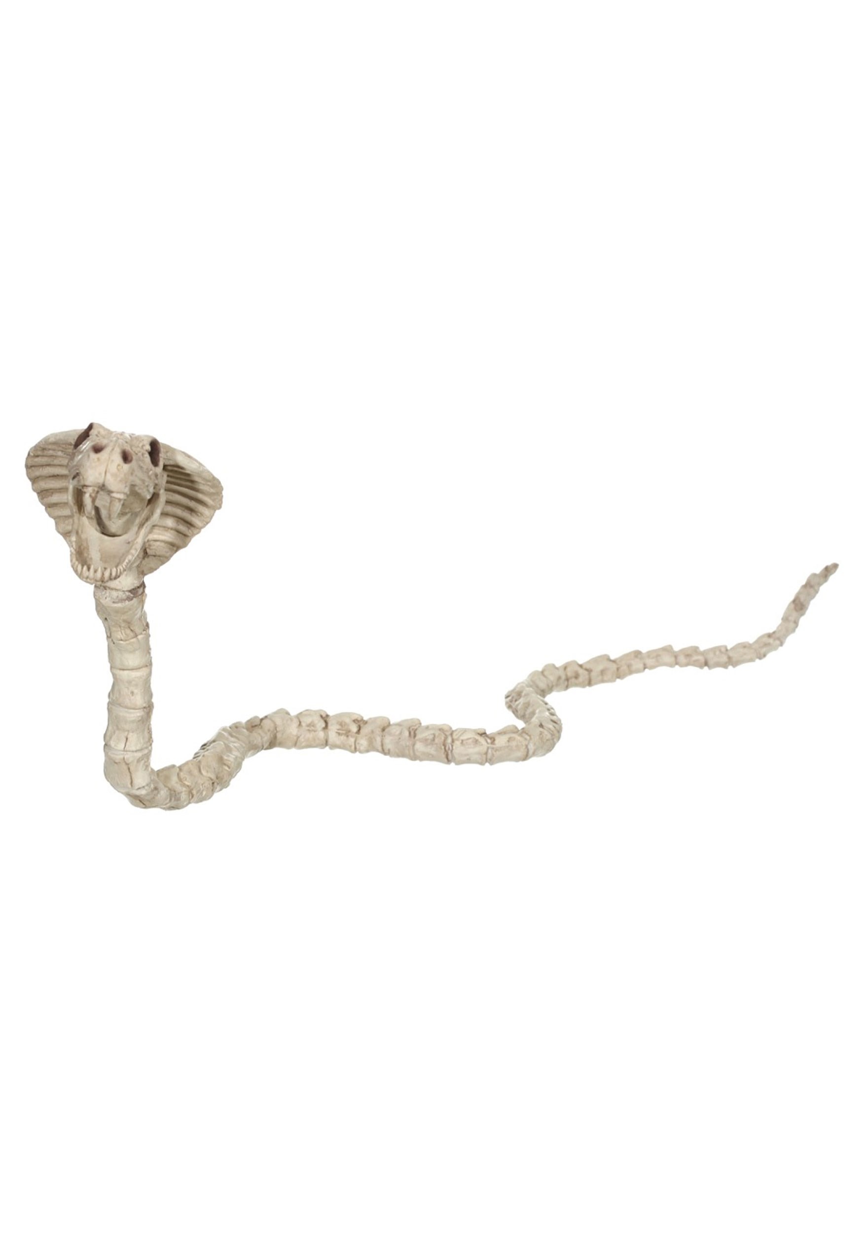 39 Cobra Skeleton Prop | Animal Skeletons Decorations