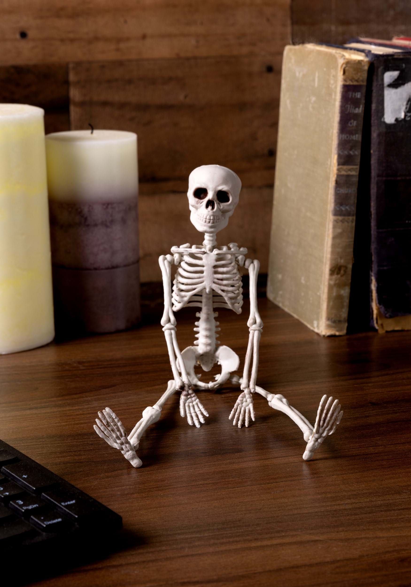 12-Inch Realistic Plastic Skeleton Decoration | Skeleton Decorations