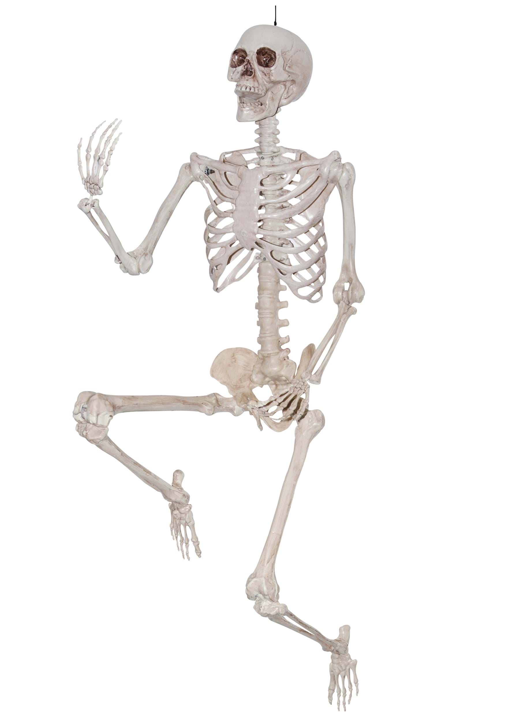 7FT Titan Skeleton Prop Decoration | Skeleton Decorations