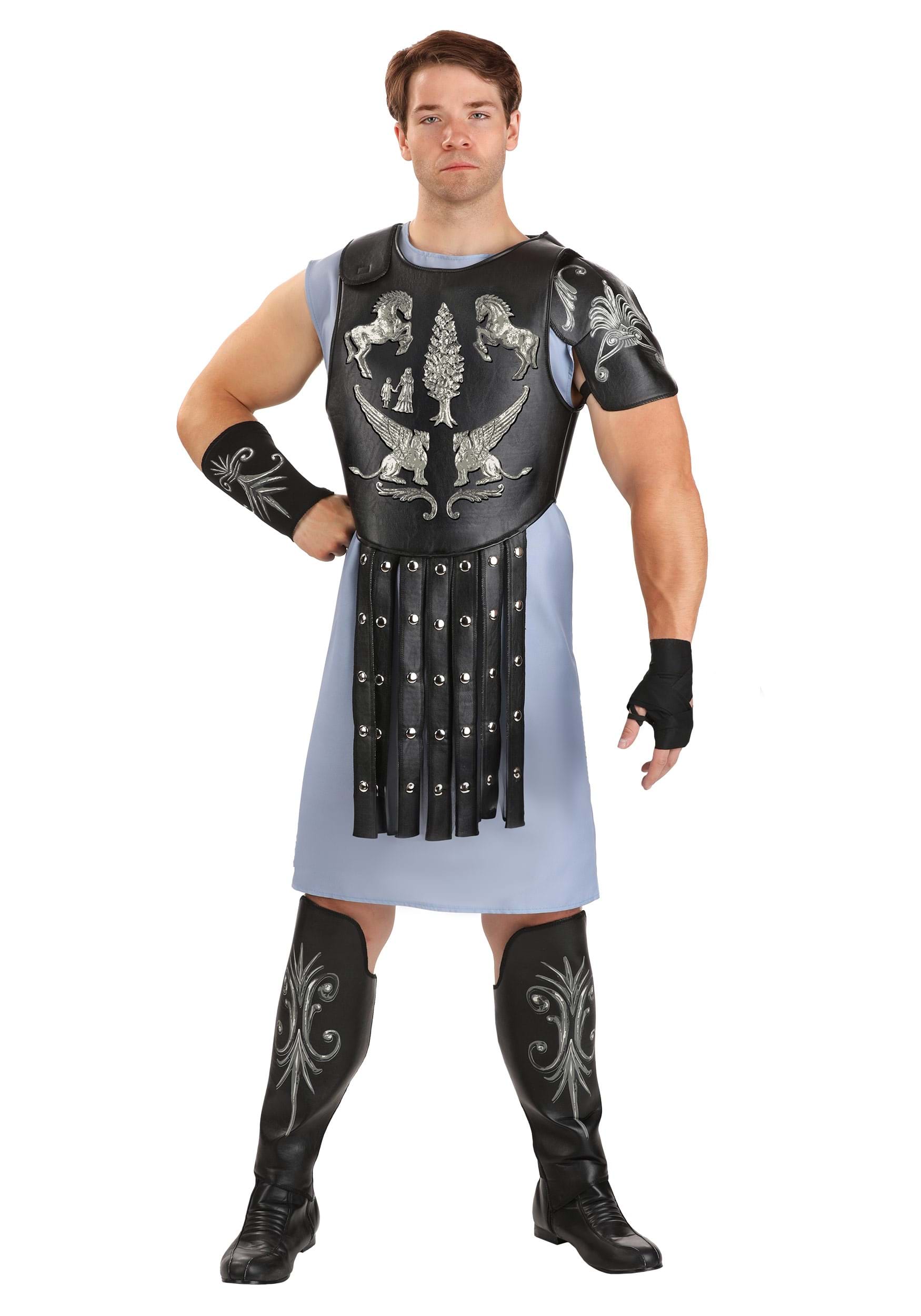 Gladiator Arena Maximus Men's Costume | Movie Costumes