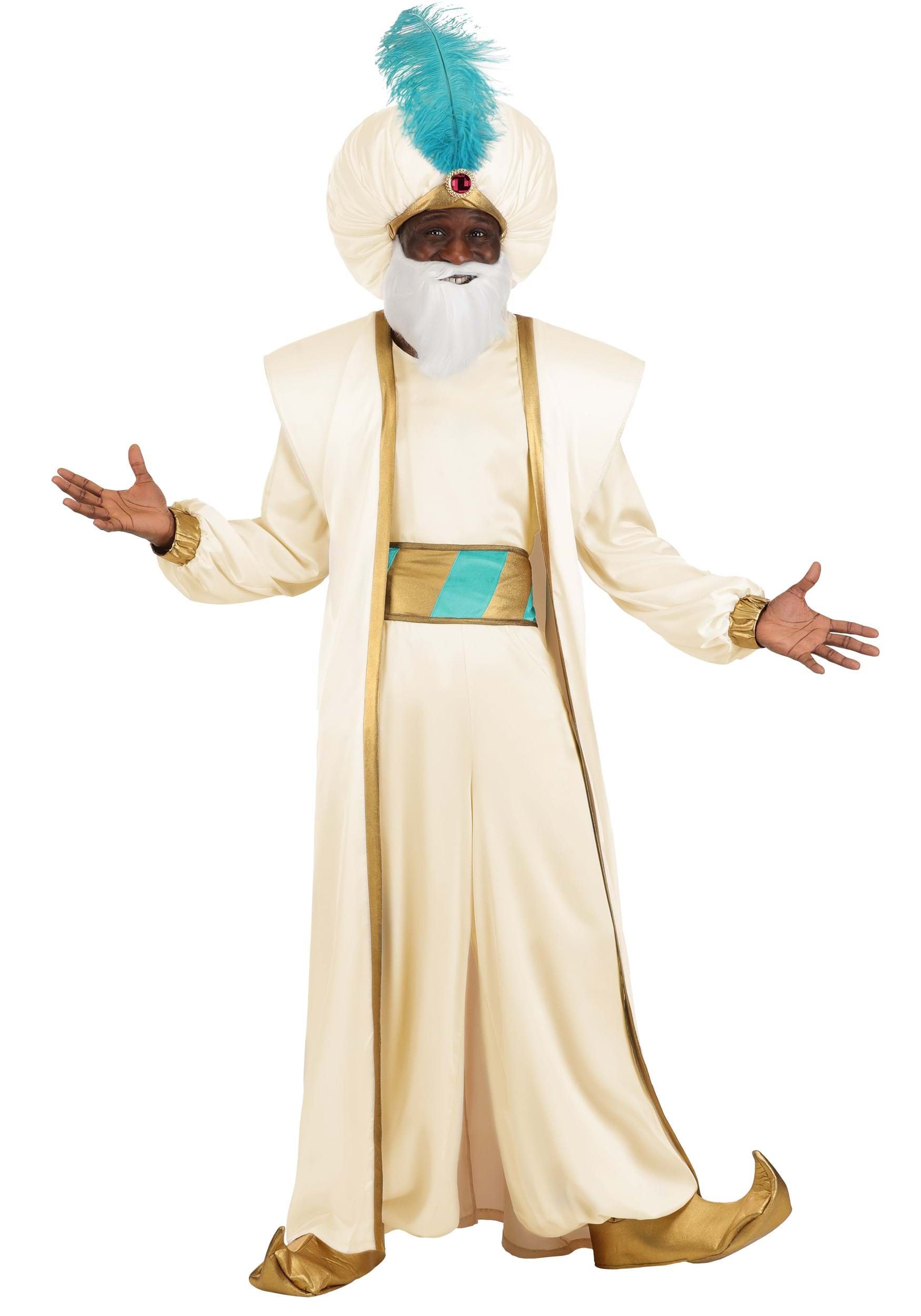Men's Disney Aladdin Sultan Costume | Disney Costumes