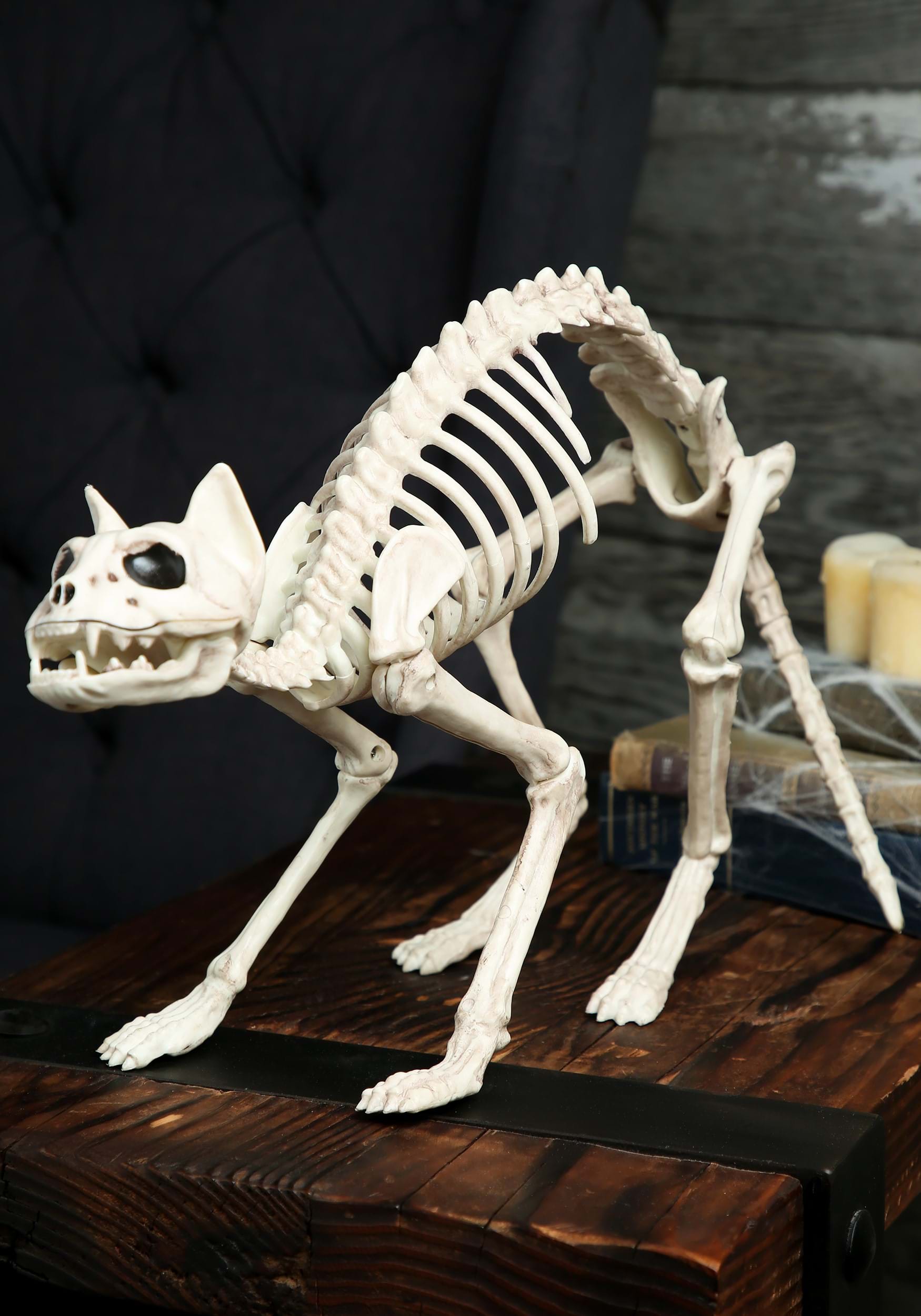Skeleton Cat Bones Halloween Decoration | Halloween Animal Skeleton Prop