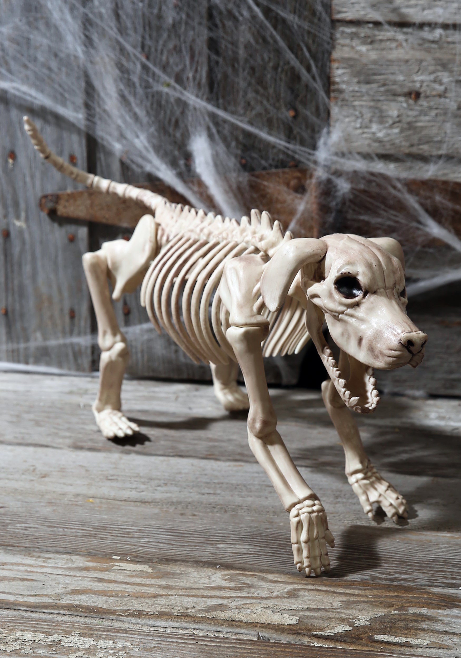 20-Inch Beagle Bonez Skeleton Dog Prop | Animal Skeletons