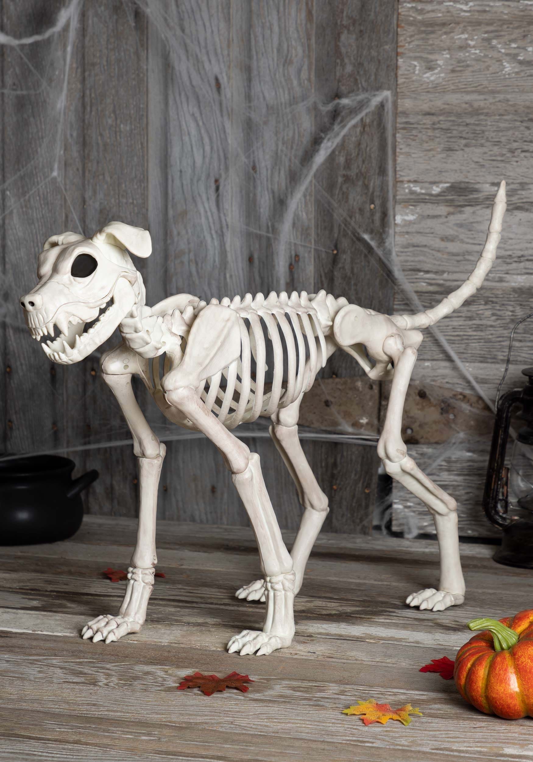 Buster Bonez 28 Skeleton Dog