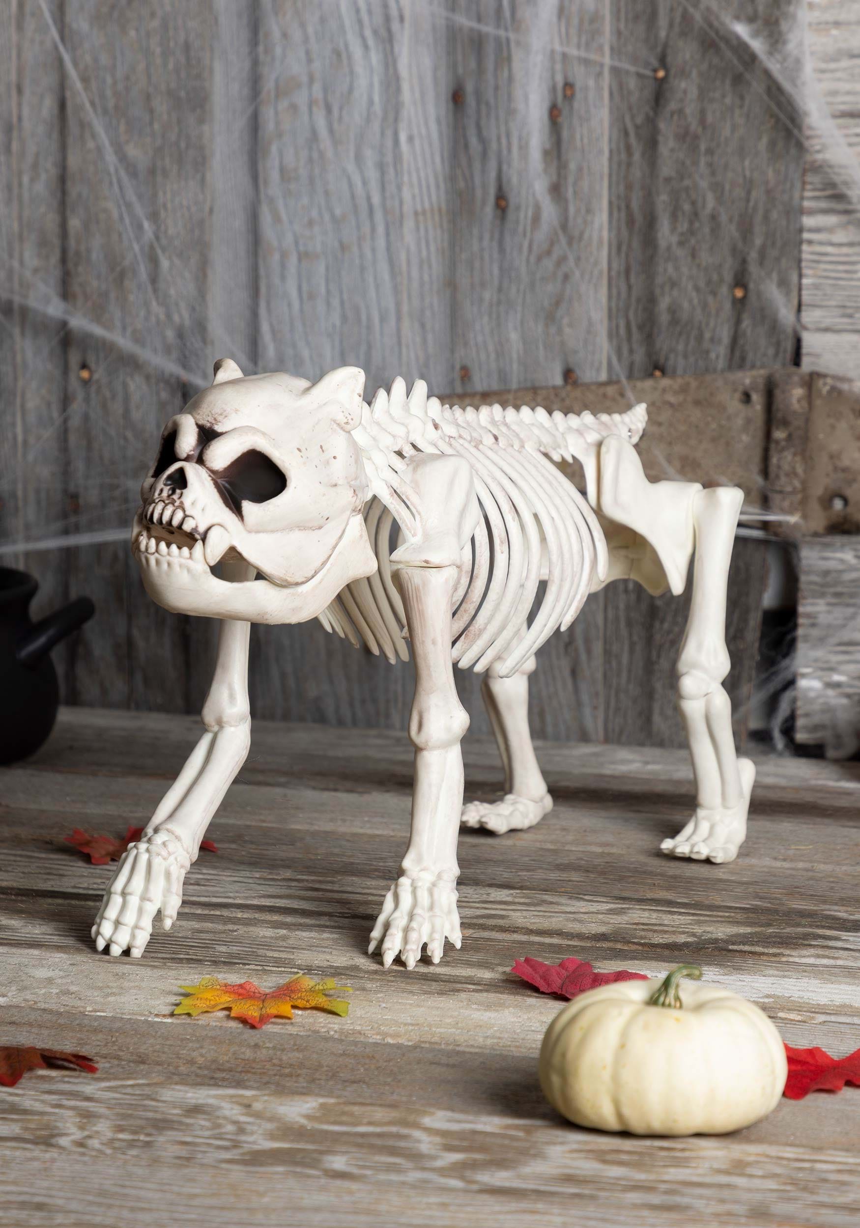 Skeleton Dog Bones the Hungry Hound