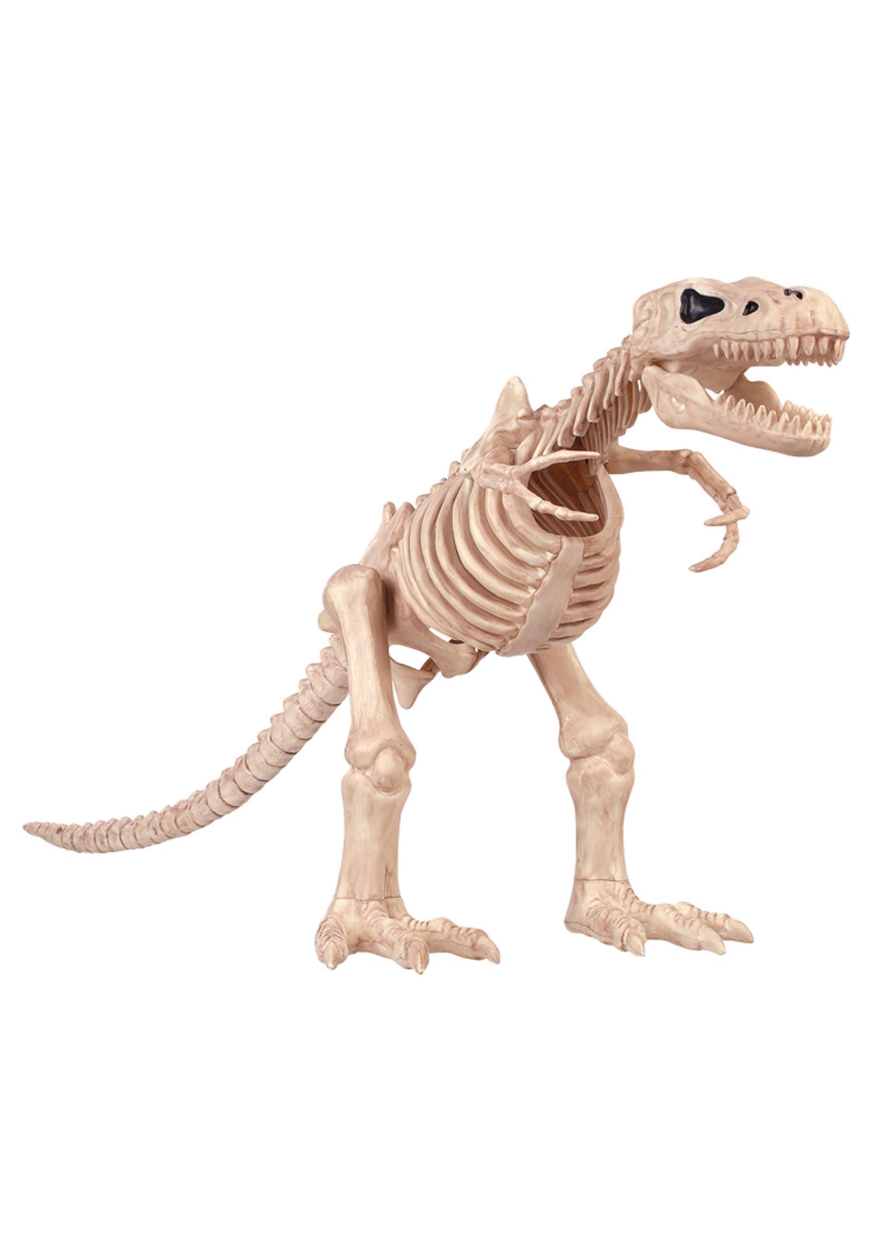 T-Rex Skeleton 16 Inch Decoration | Dinosaur Skeleton Prop