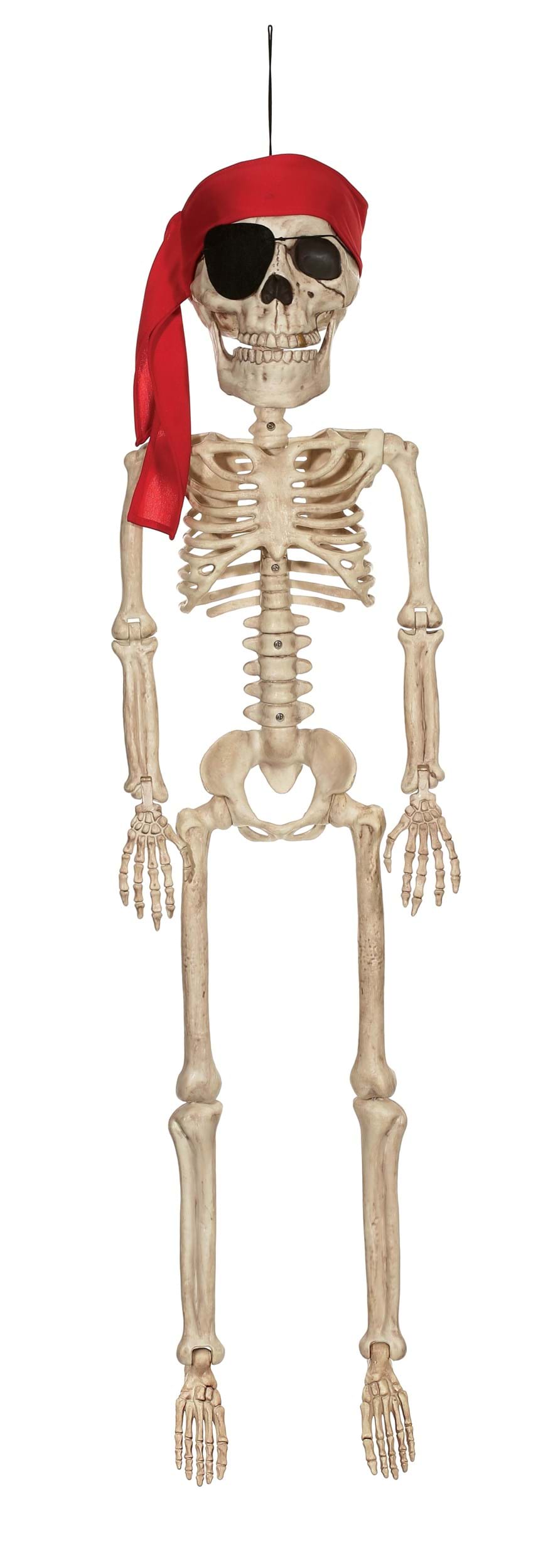 39 Pirate Skeleton Jr. Prop