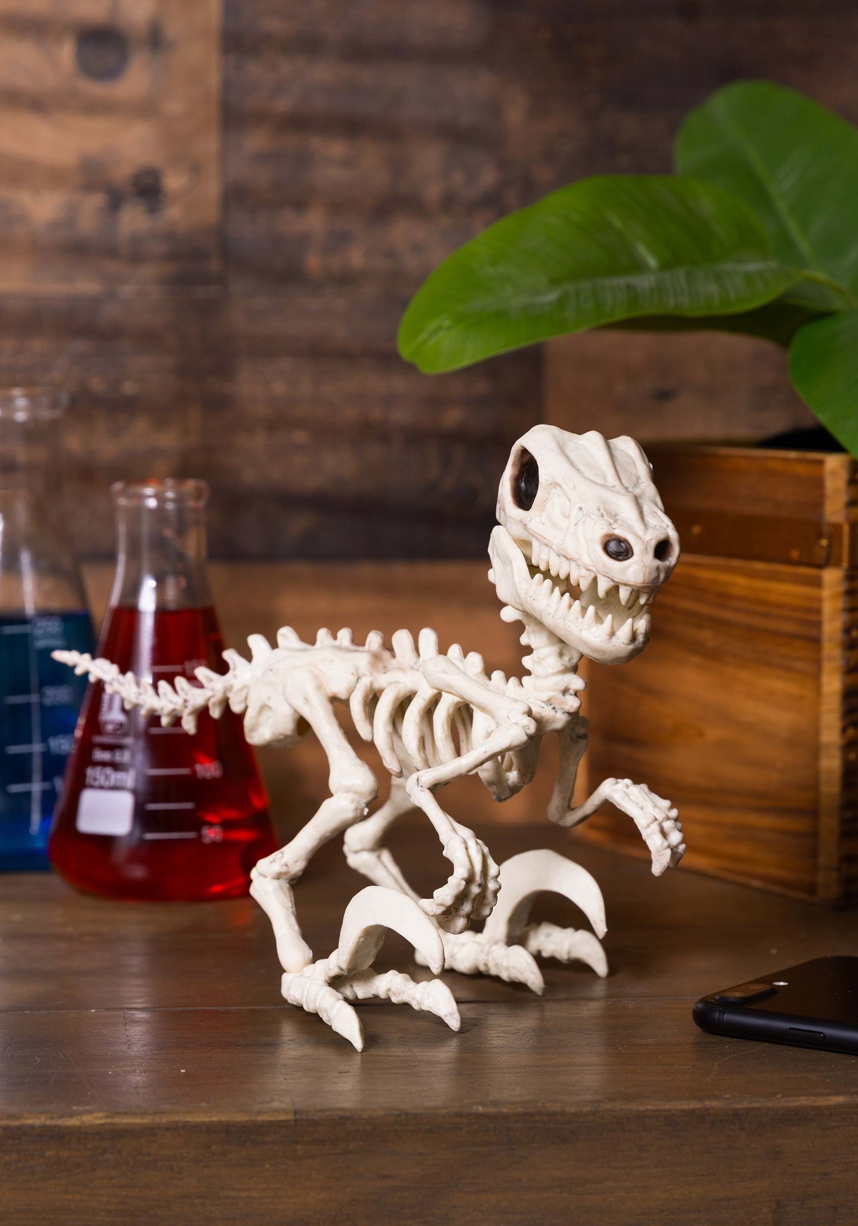 5.5-Inch Raptor Crazy Bonez Halloween Prop | Animal Skeletons
