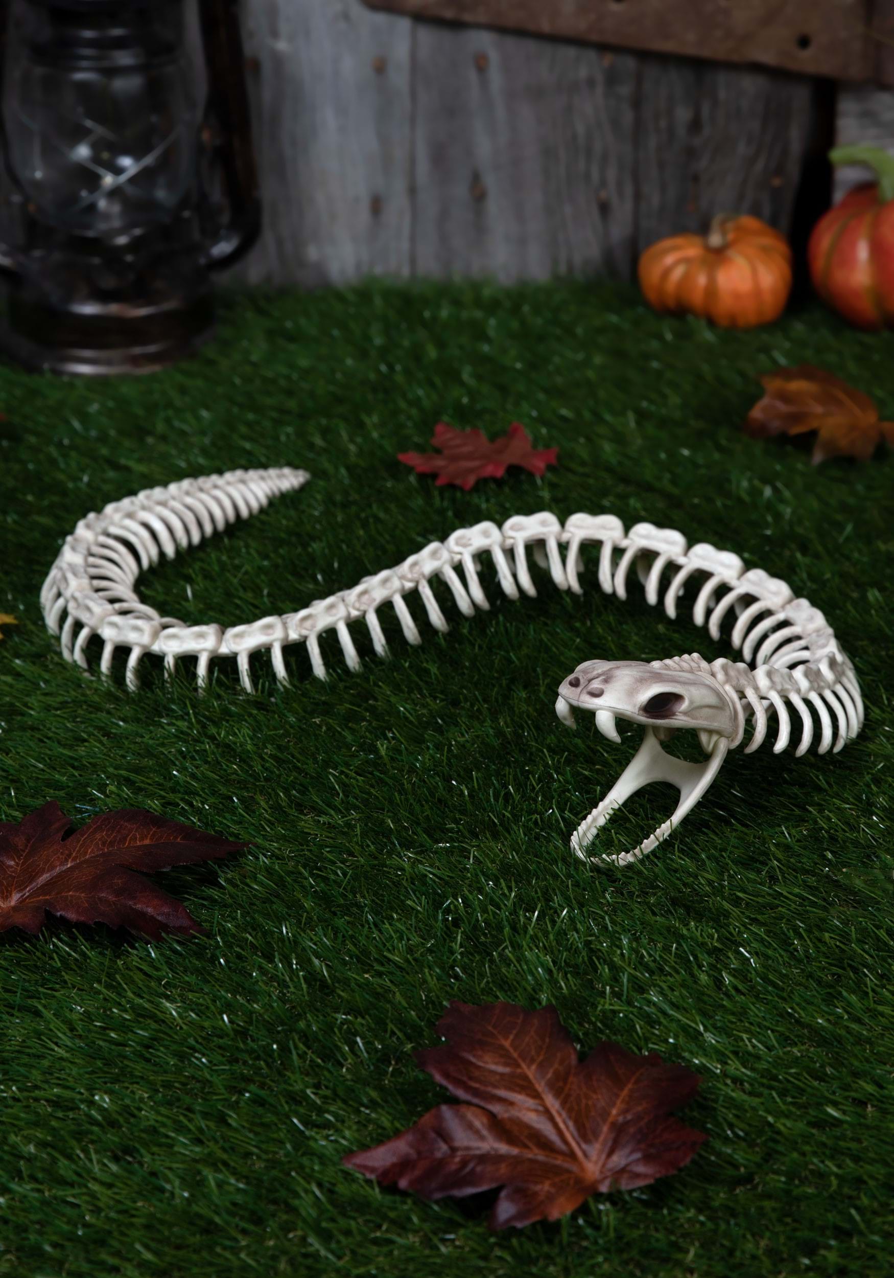 36 Snake Skeleton Halloween Prop | Animal Skeleton Decorations