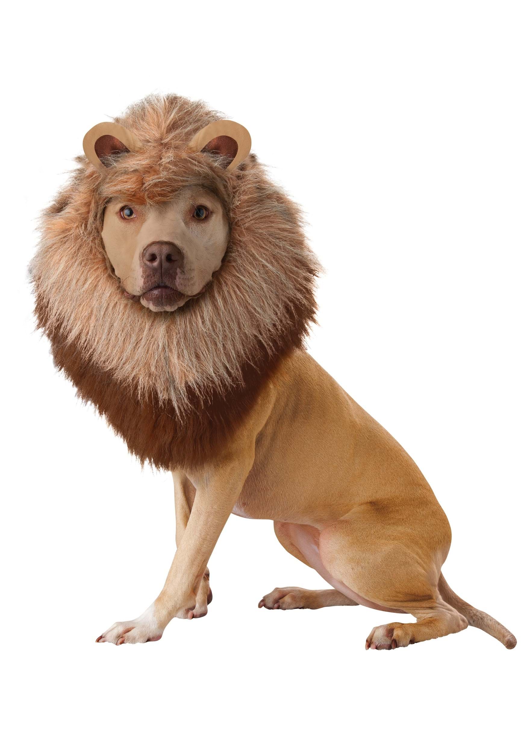 Classic Pet Lion Costume | Halloween Pet Costumes
