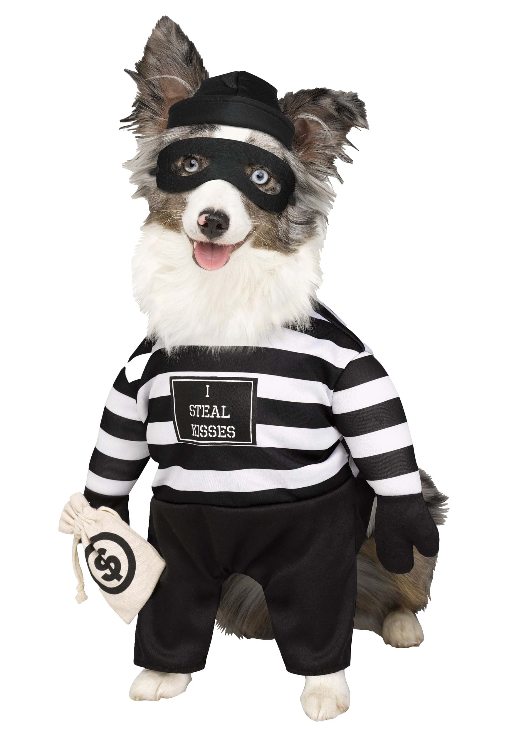 Robber Pup Costume for Pets | Pet Costumes