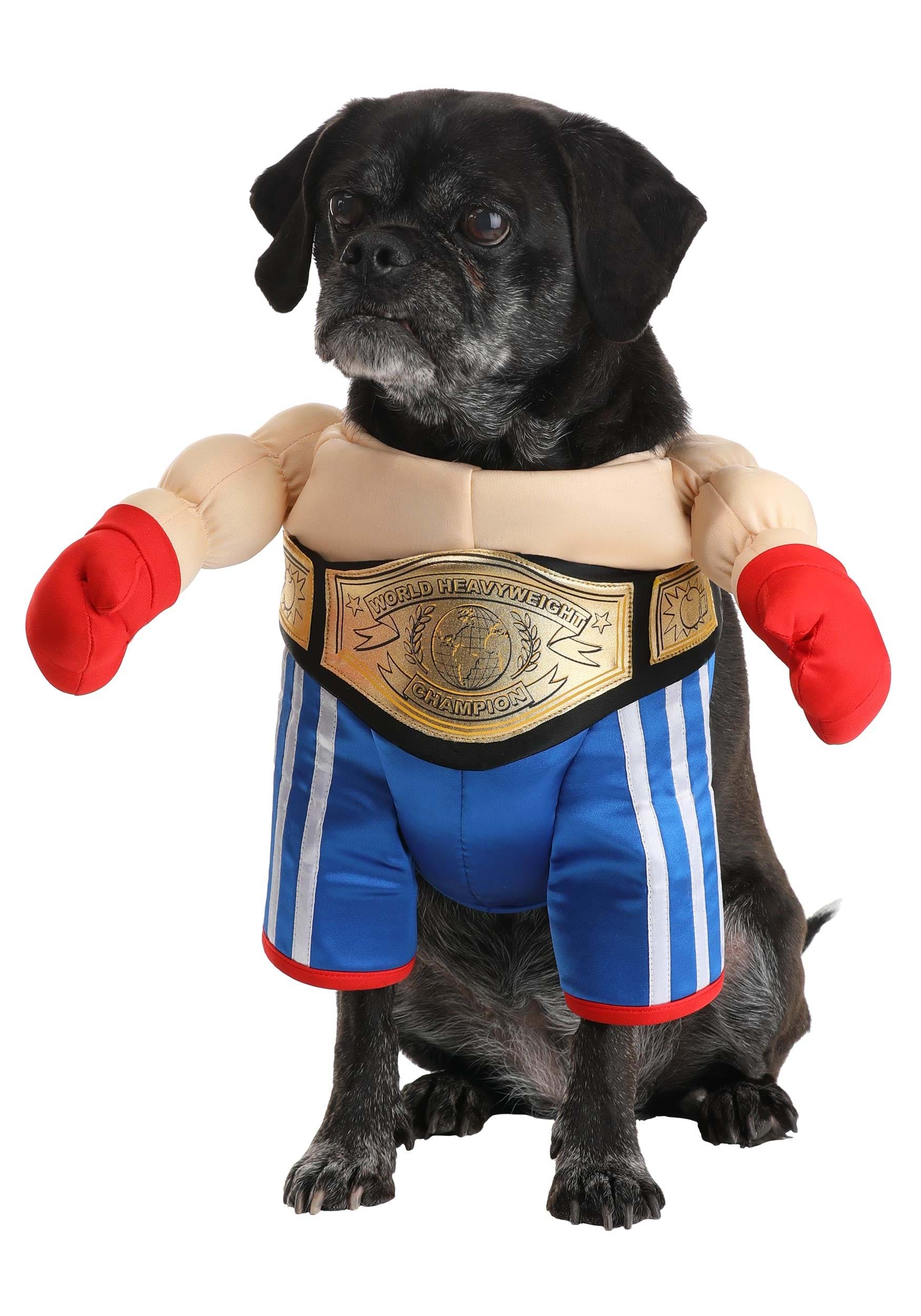 Champion Pet Boxer Costume | Halloween Dog Costumes