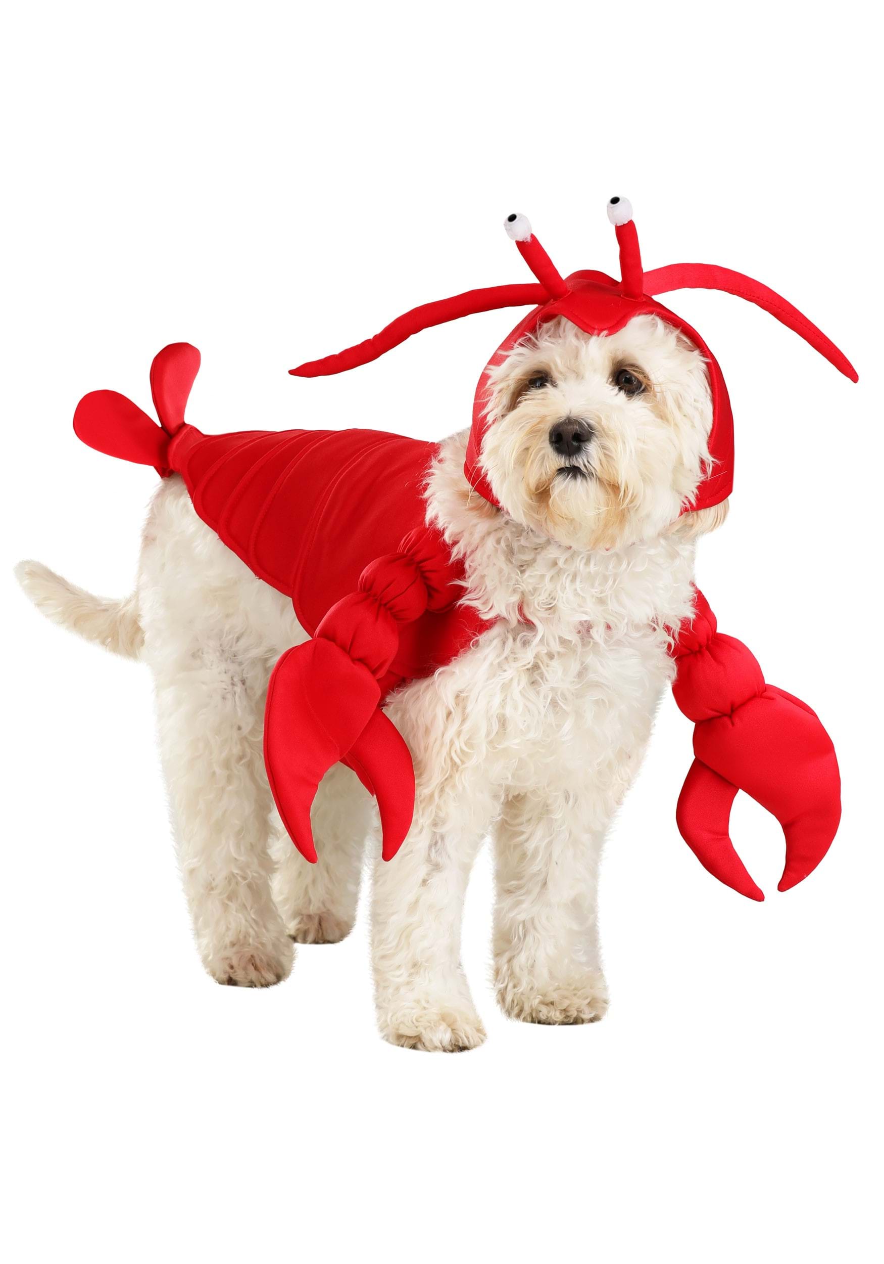 Red Lobster Costume for Pets | Halloween Pet Costumes