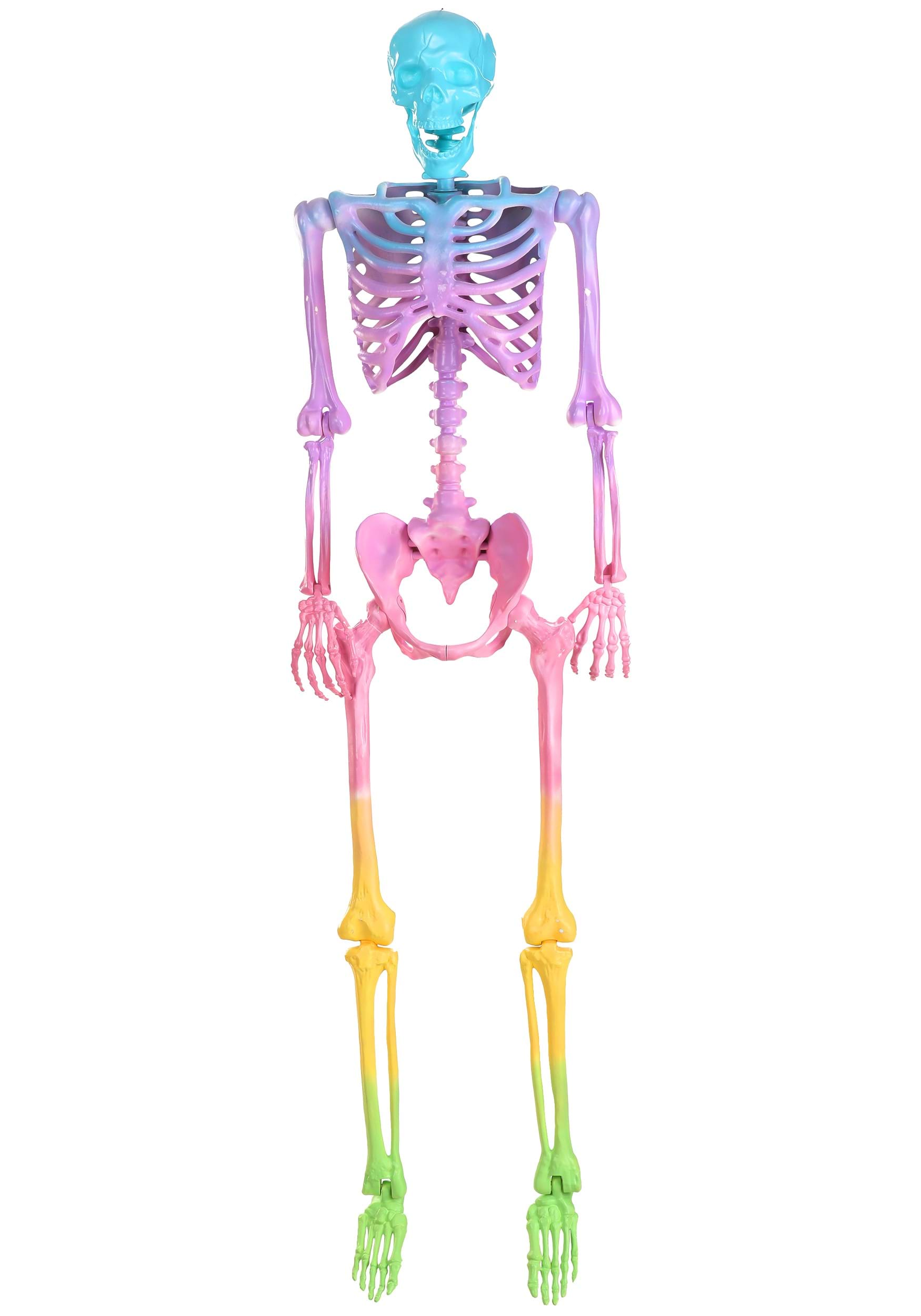 Poseable 5FT Crazy Bones Skeleton in Rainbow Decoration | Skeleton Decorations