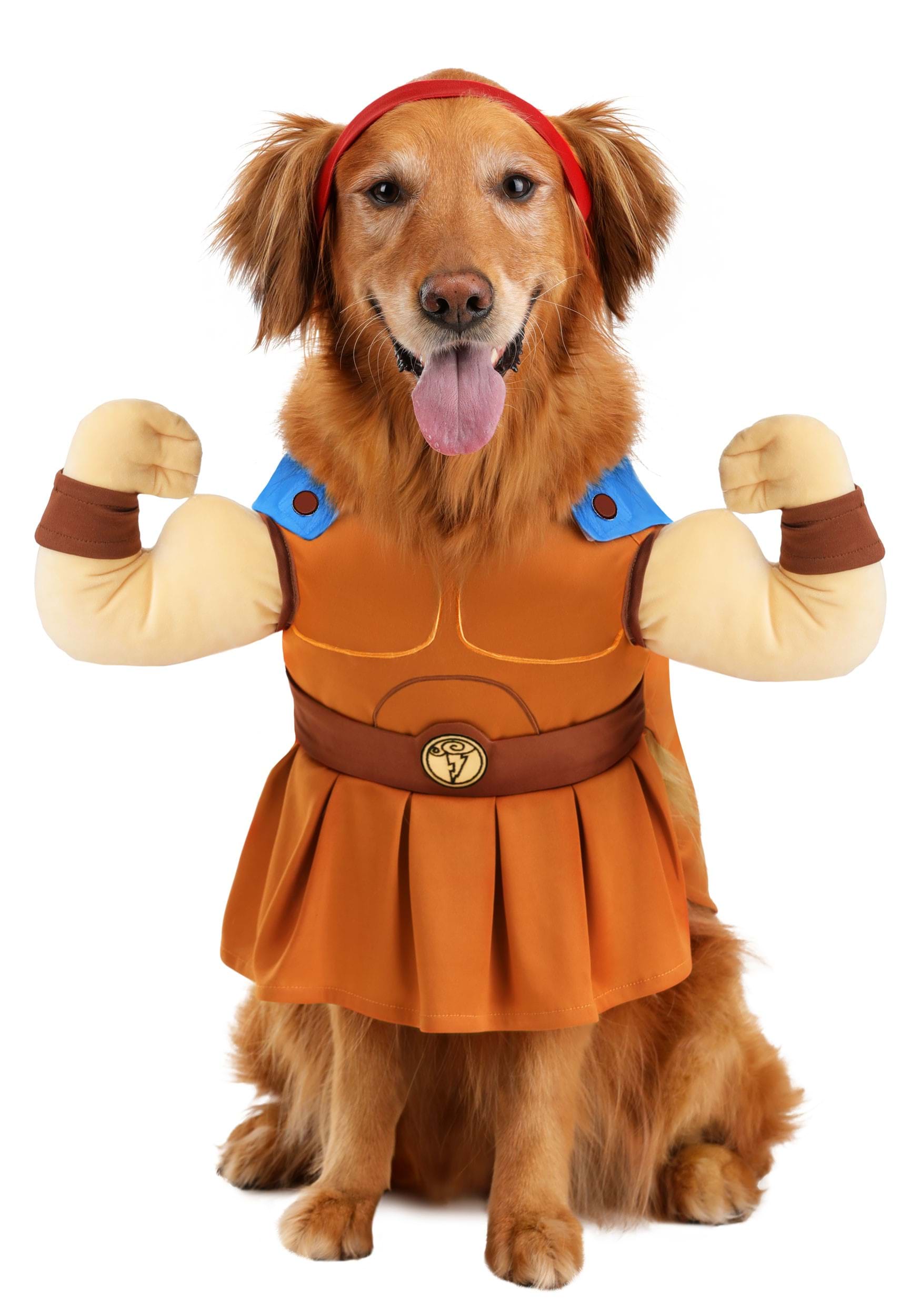 Disney Hercules Costume for Pets | Disney Pet Costumes