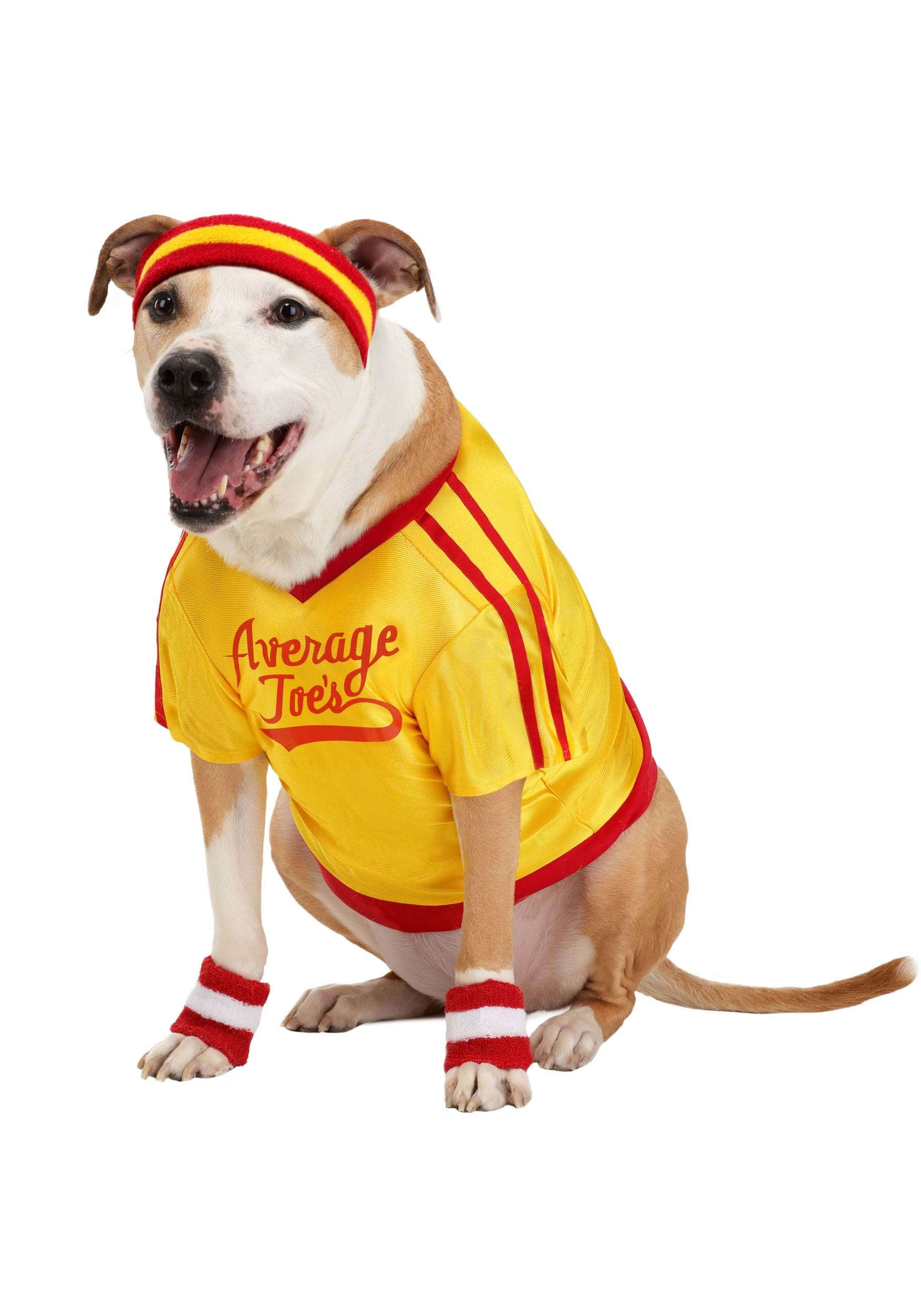 Dodgeball Pet Average Joe's Costume | Movie Costumes