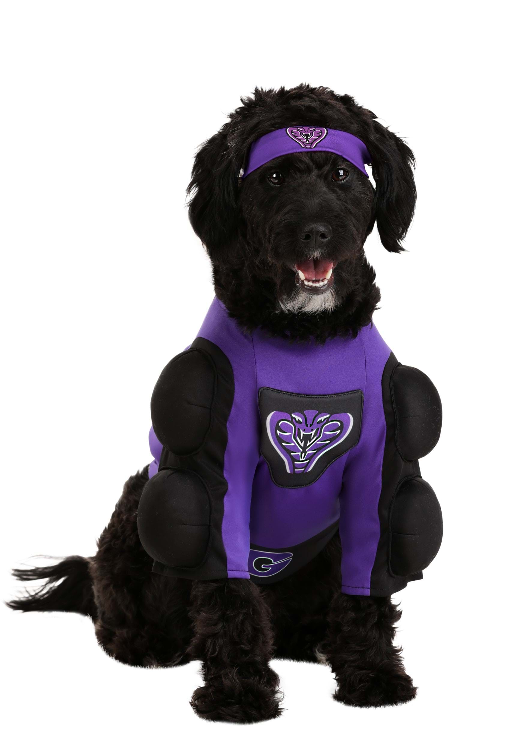 Dodgeball Globo Gym Costume for Pets | Movie Costumes