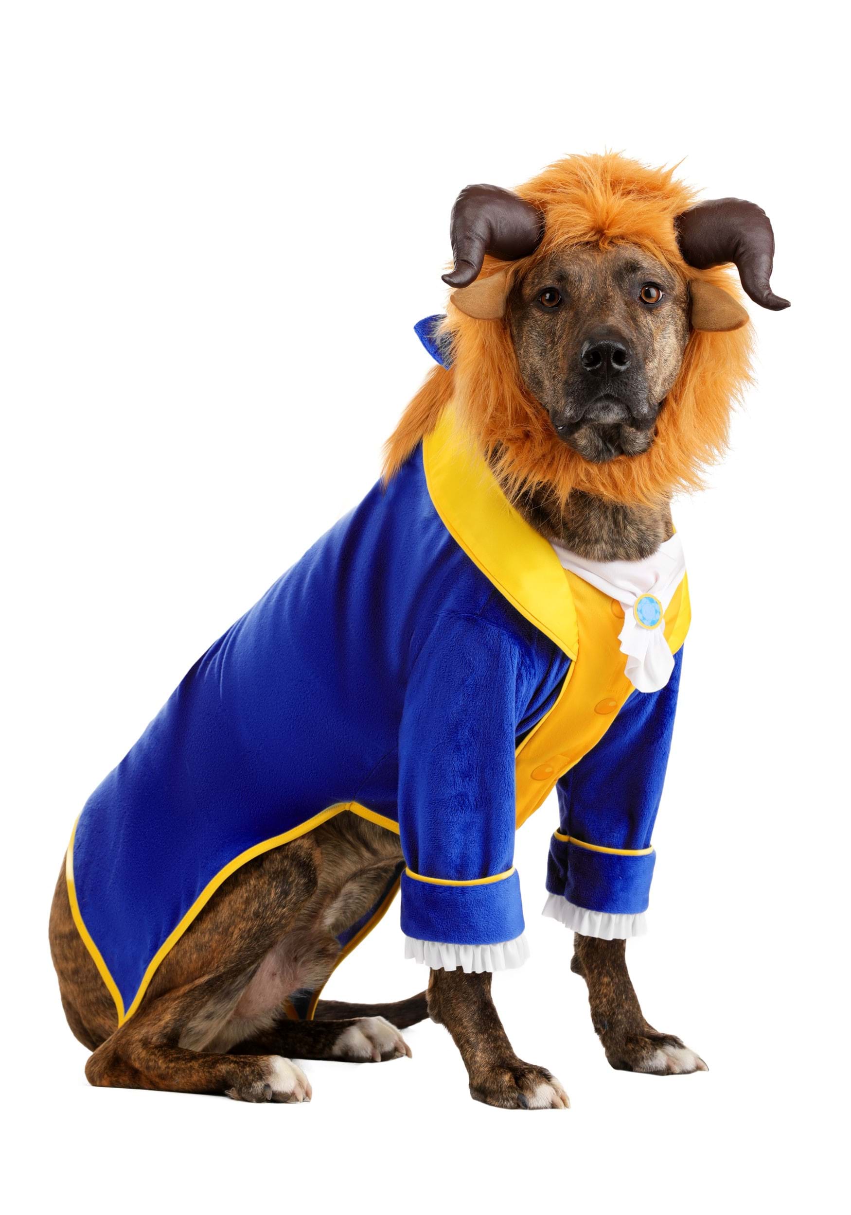 Disney Beauty and the Beast Costume for Pets | Disney Pet Costumes