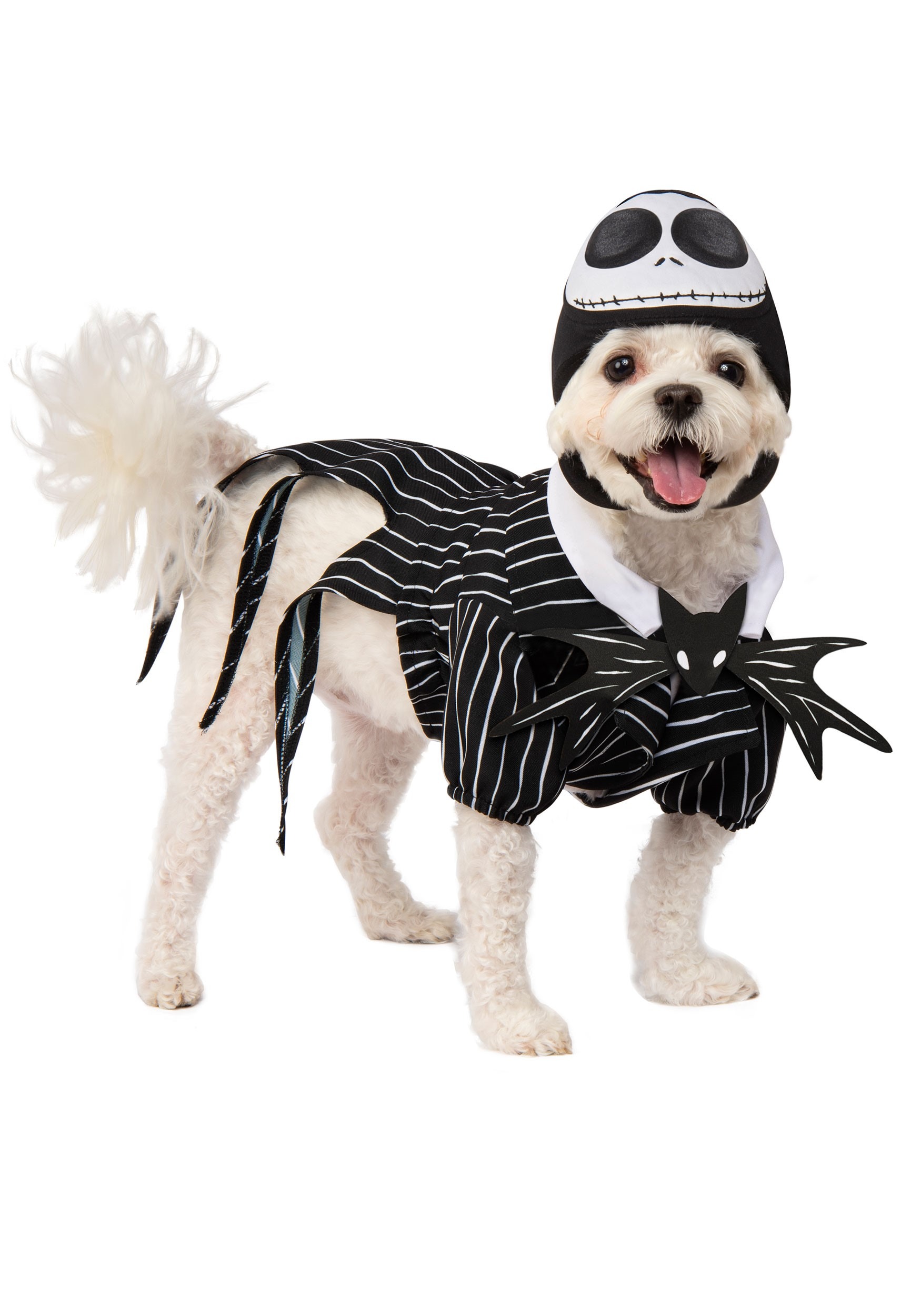 Nightmare Before Christmas Pet Jack Skellington Costume | Disney Costumes