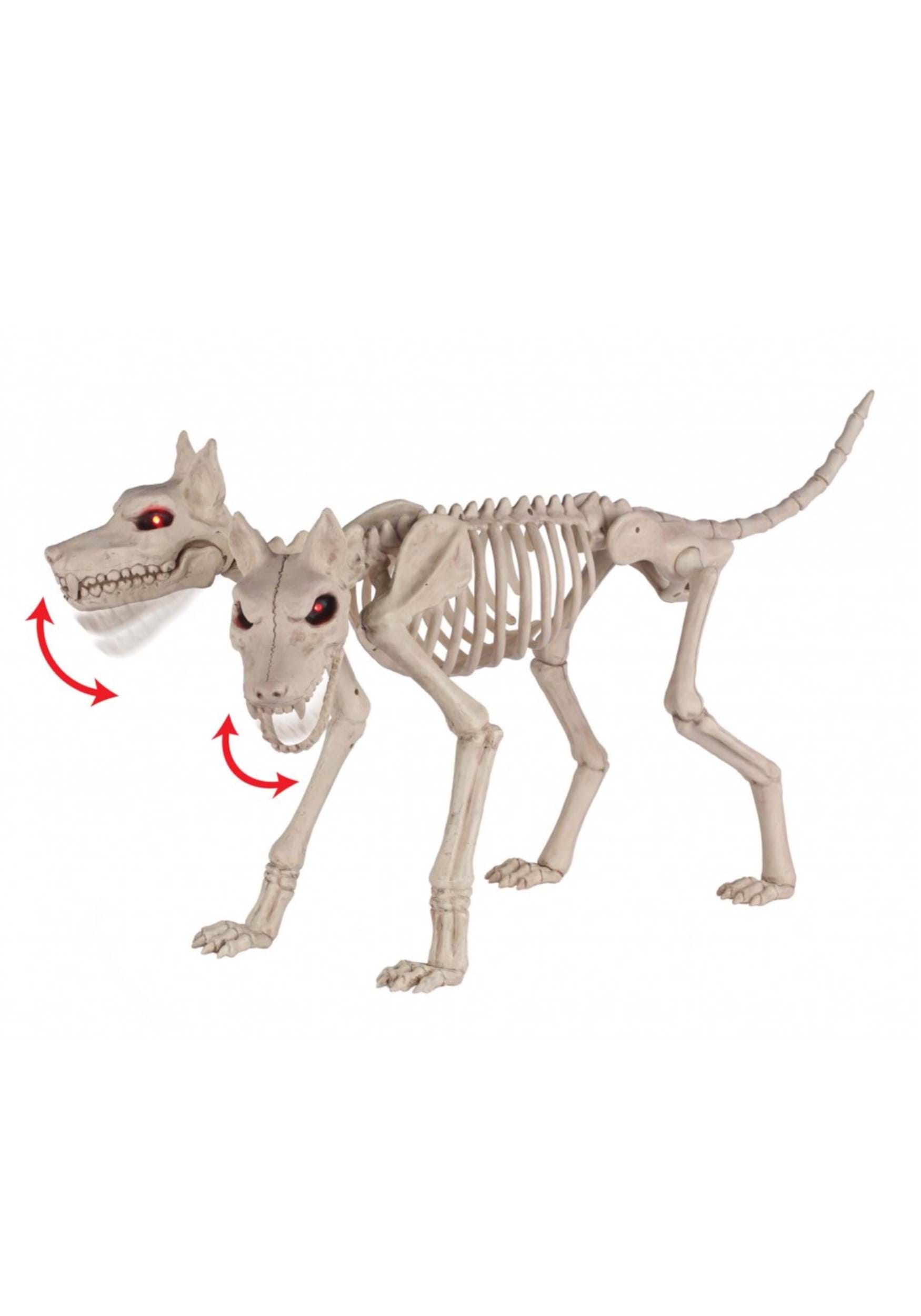 20-Inch Double Trouble Doberman Dog Skeleton Decoration | Animal Skeletons