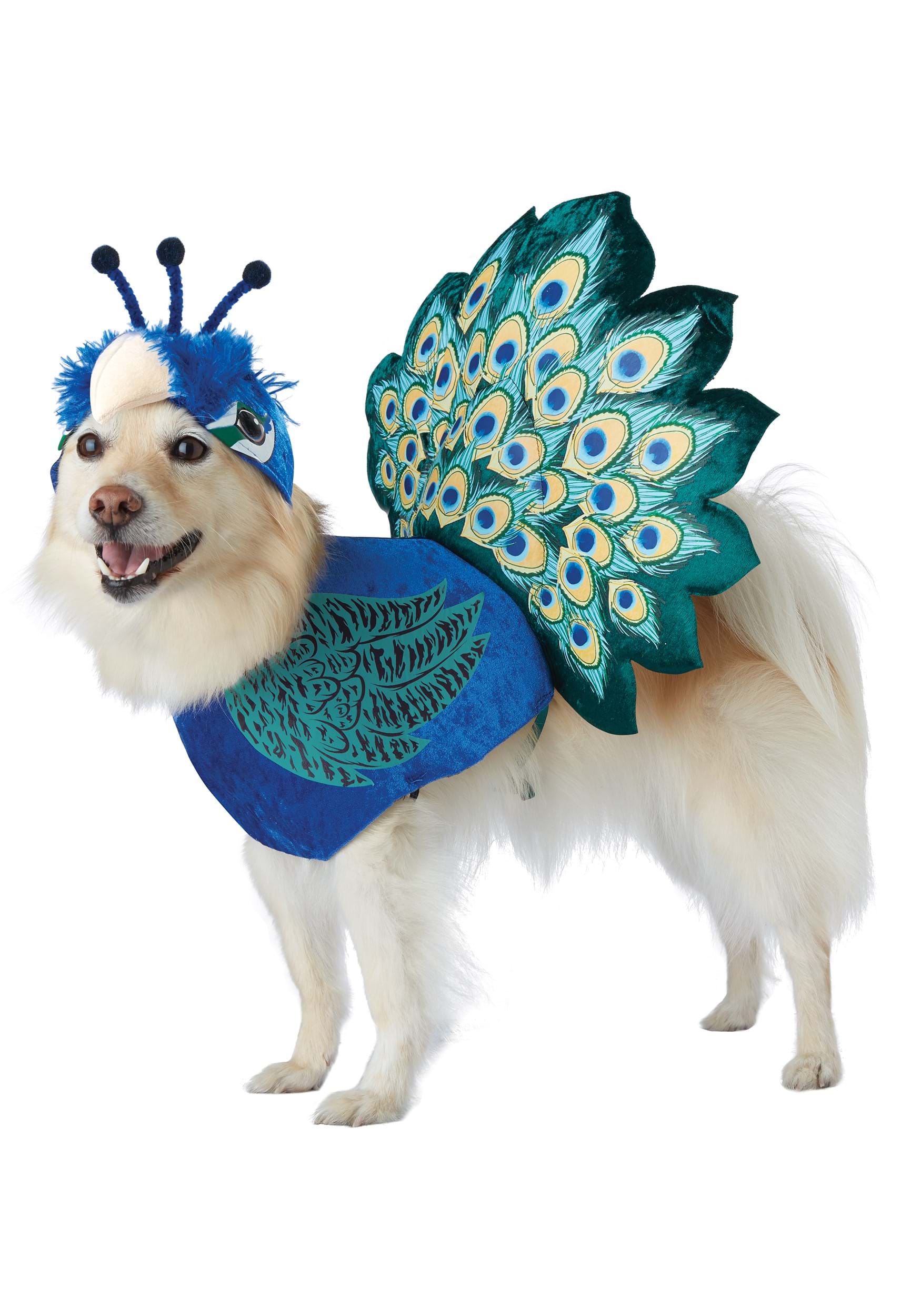Pretty as a Peacock Pet Costume | Dog Costumes
