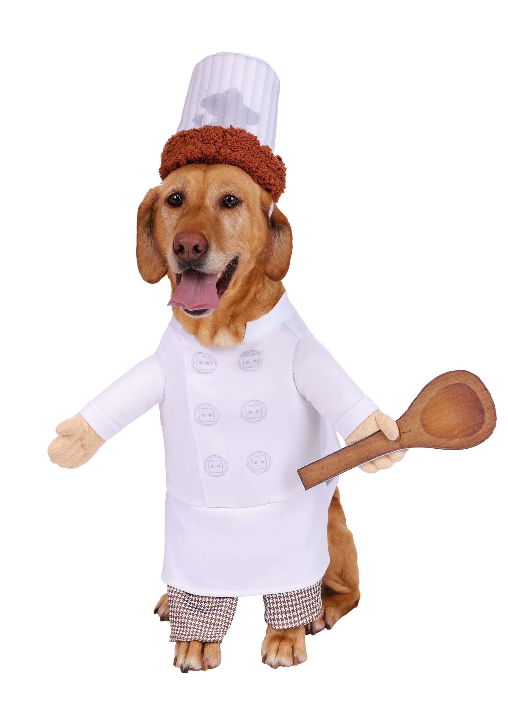 Disney Pixar Ratatouille Alfredo Linguini Pet Costume | Disney Pet Costumes